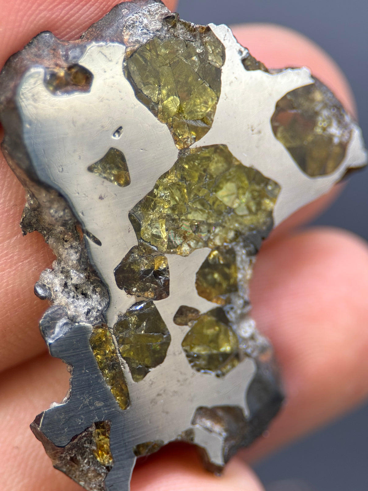 IMILAC PALLASITE METEORITE, CHILE. 12,56 GRAMS SLICE.
