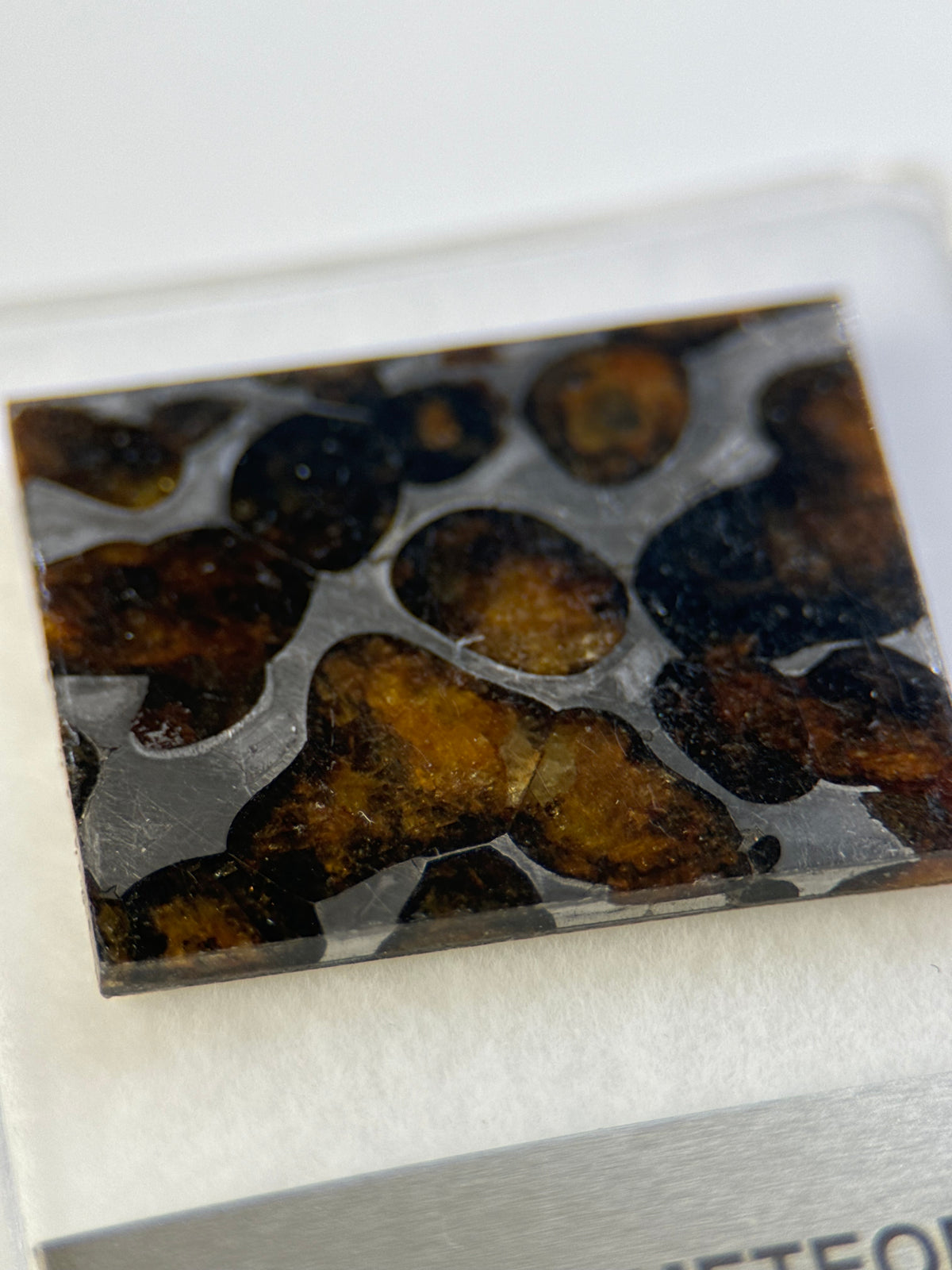 SERICHO METEORITE, KENYA. DISPLAY BOX. 5 GRAMS.