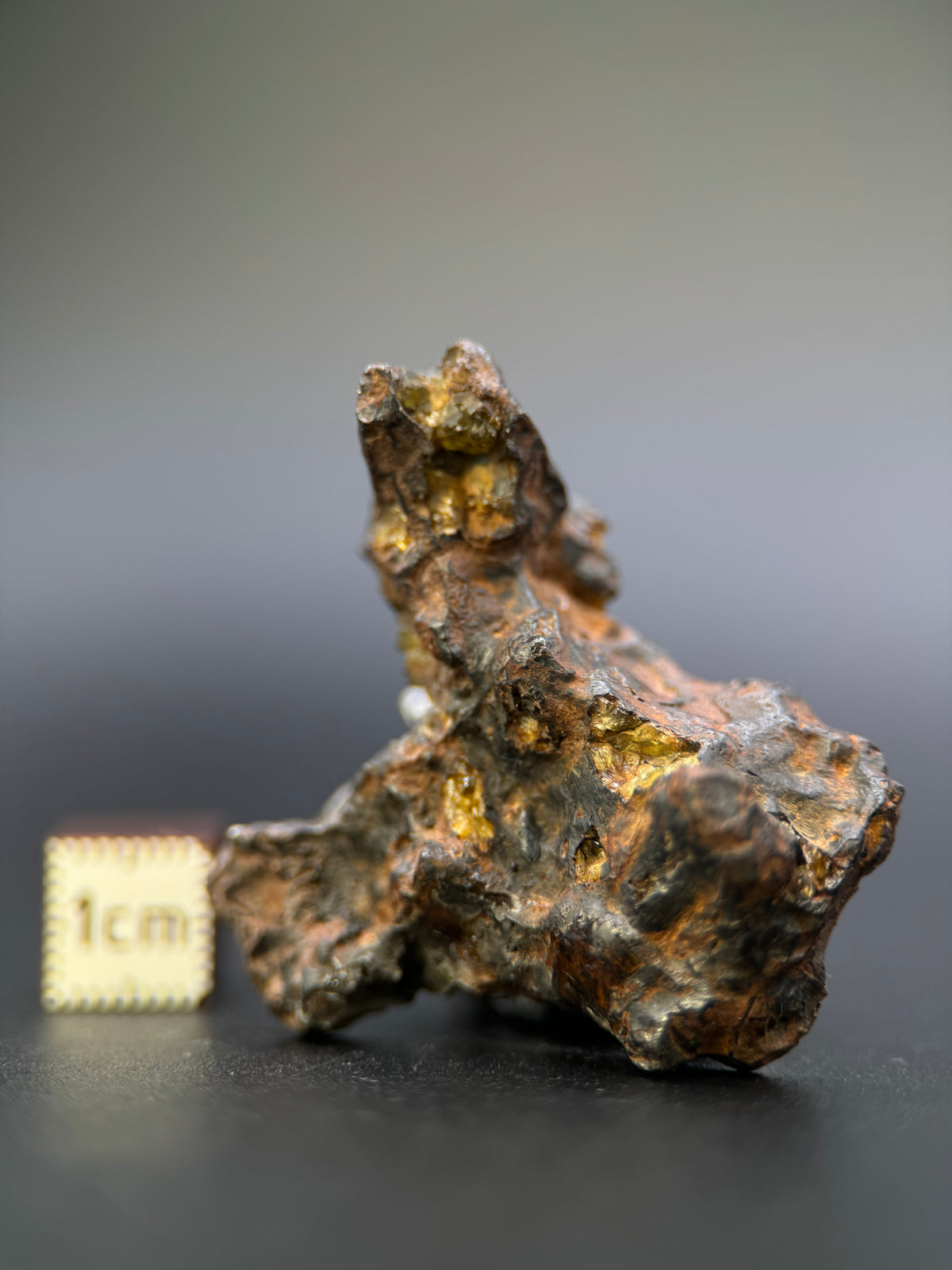 IMILAC PALLASITE METEORITE, END CUT, CHILE. 27,11 GRAMS.