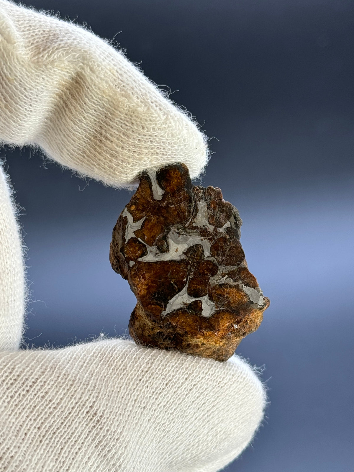 SERICHO PALLASITE METEORITE, KENYA. 24,24 GRAMS END-CUT.