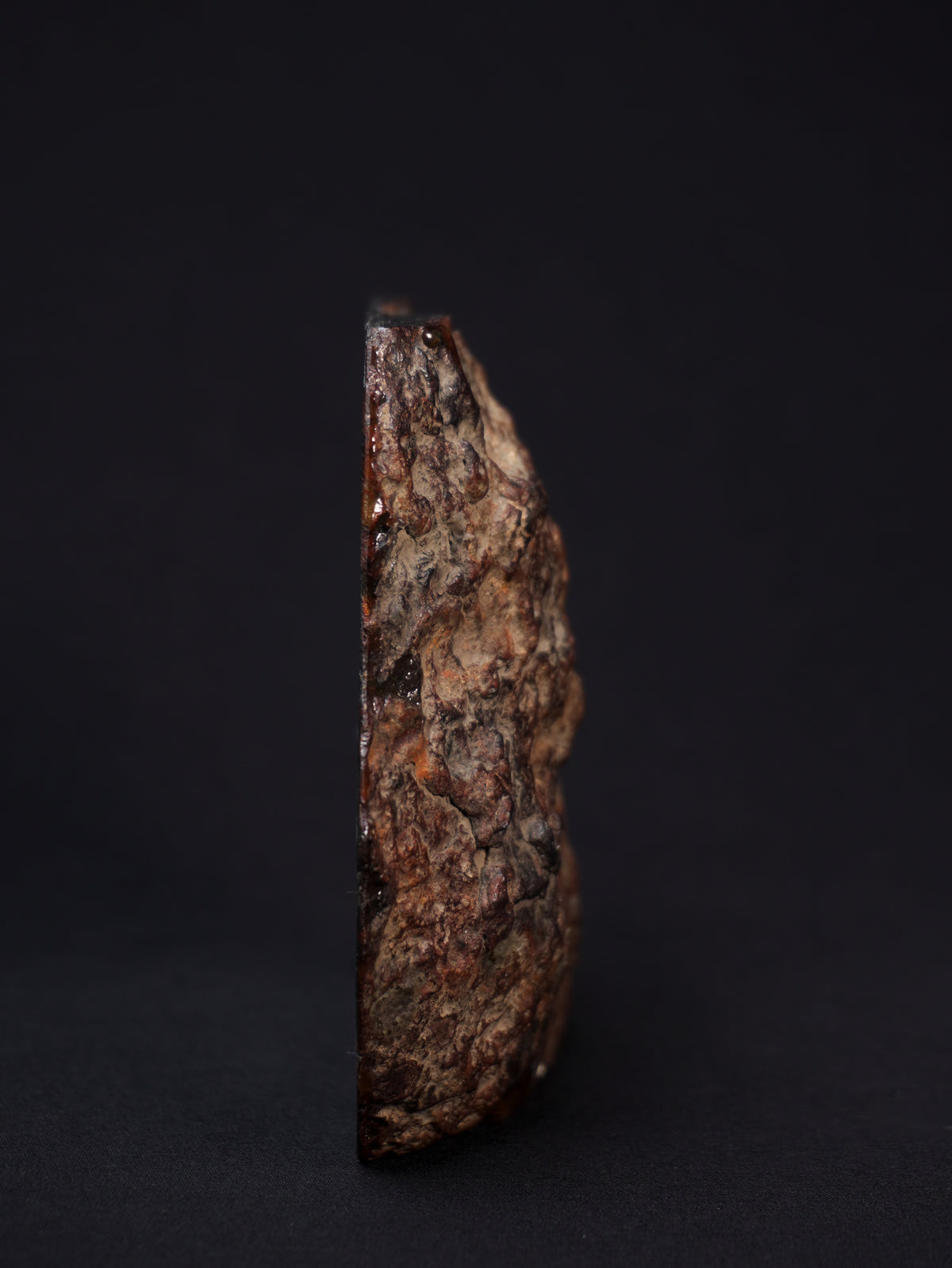 Sericho pallasite meteorite, Kenya. 836 grams end-cut.