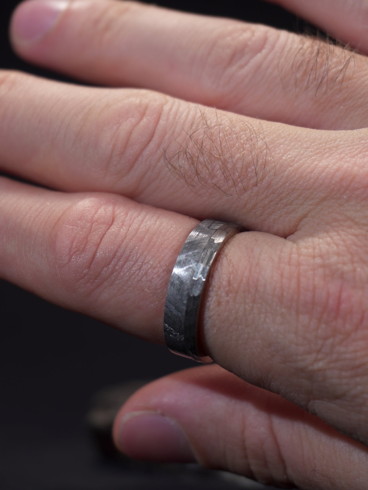 Andromeda - Muonionalusta Meteorite & Stainless Steel