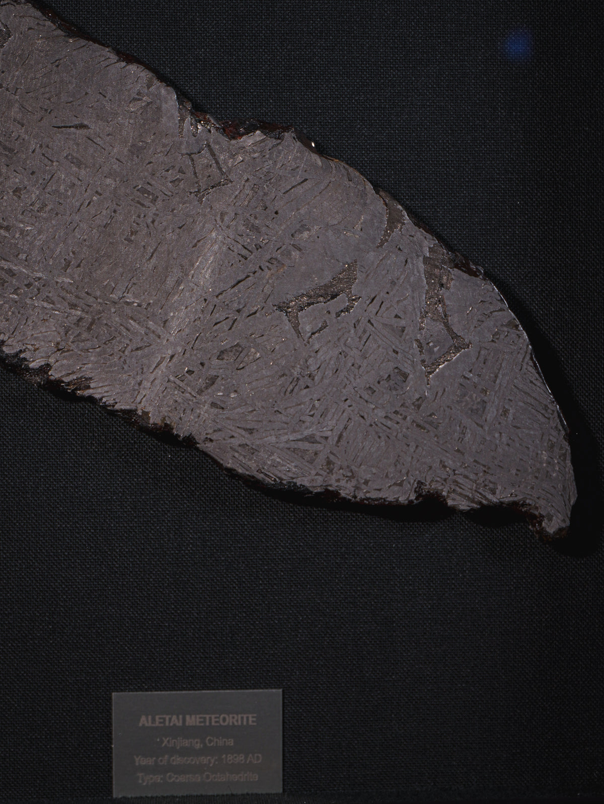 Aletai meteorite framed slice with crust - 302g