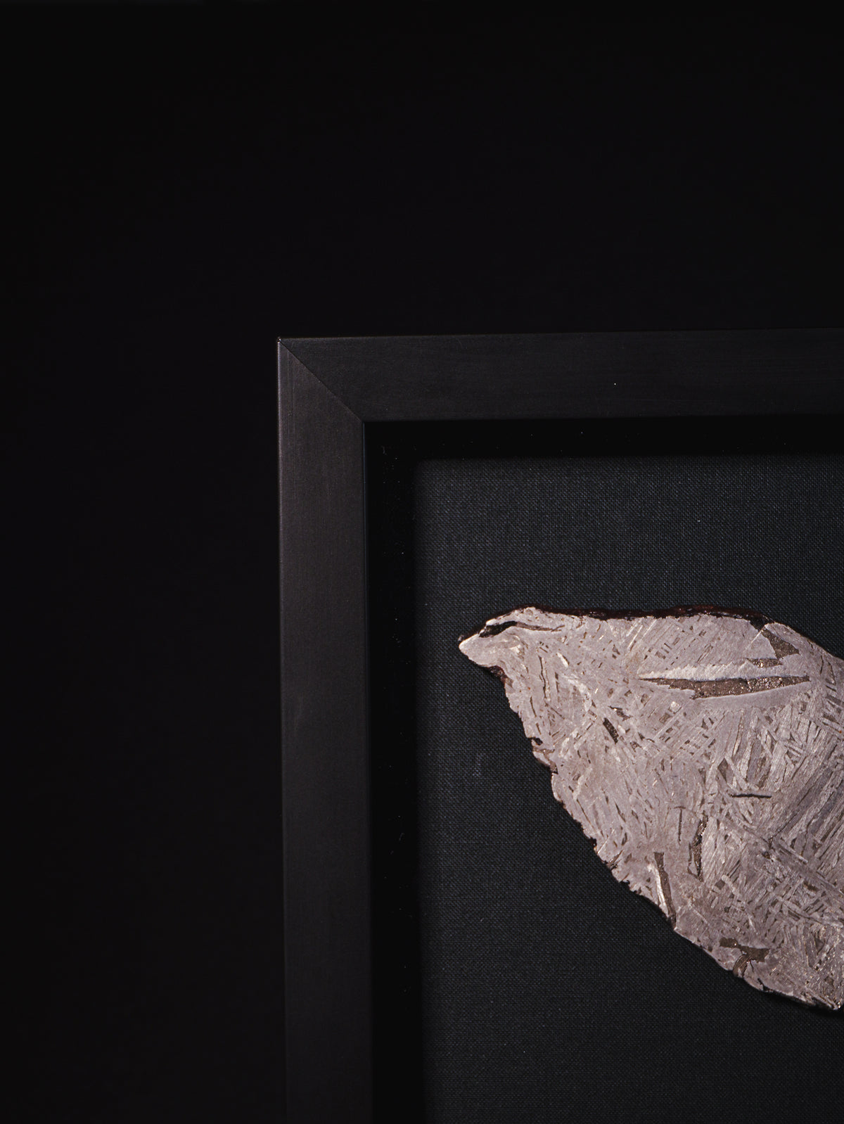 Aletai meteorite framed slice with crust - 303 g