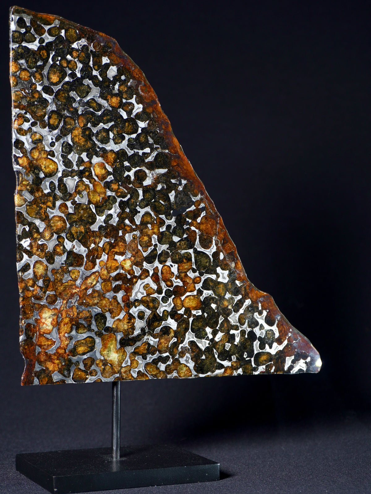 Sericho meteorite, Kenya. 113.4 grams.