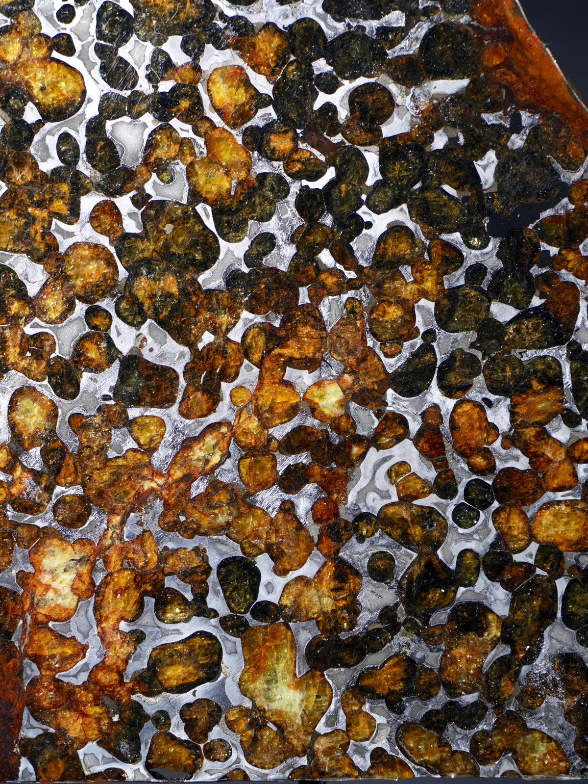 Sericho meteorite, Kenya. 113.4 grams.