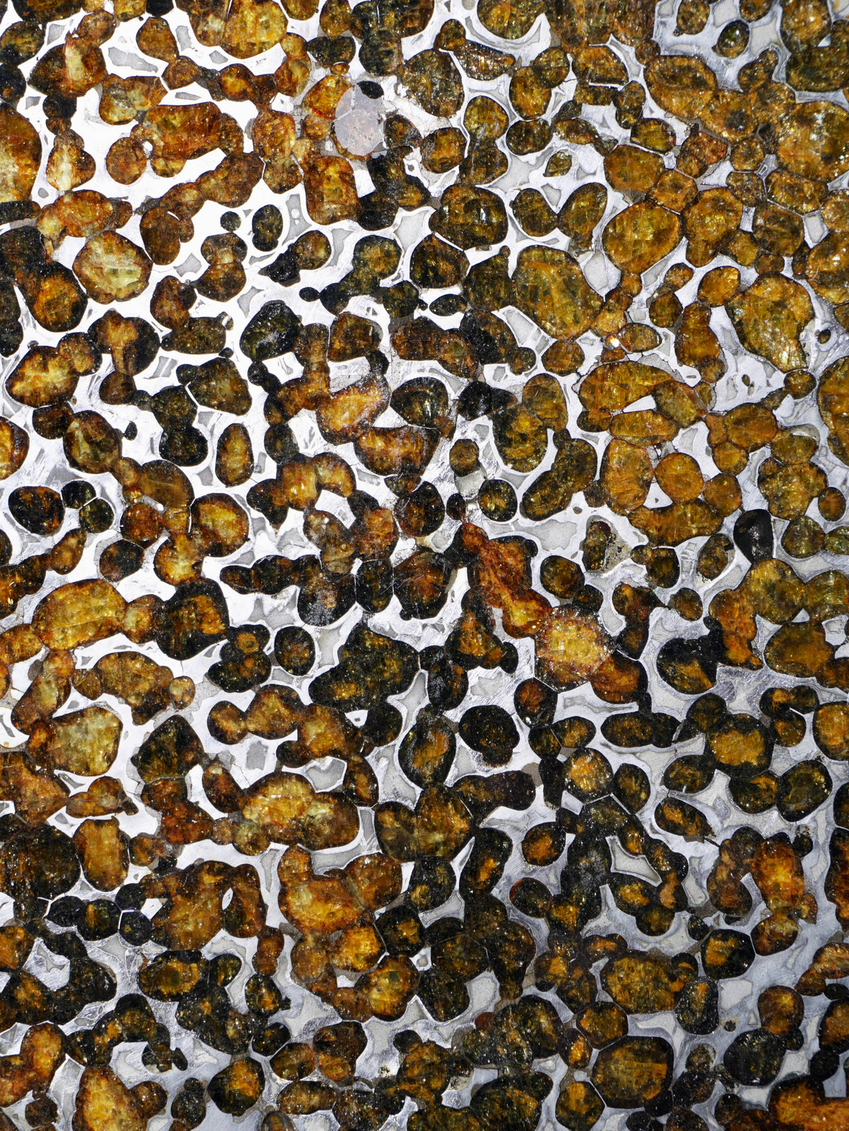 Sericho meteorite, Kenya. 131.8 grams.