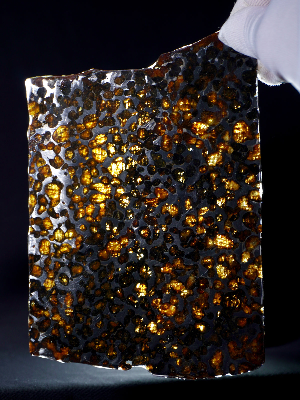 Sericho meteorite, Kenya. 131.8 grams.