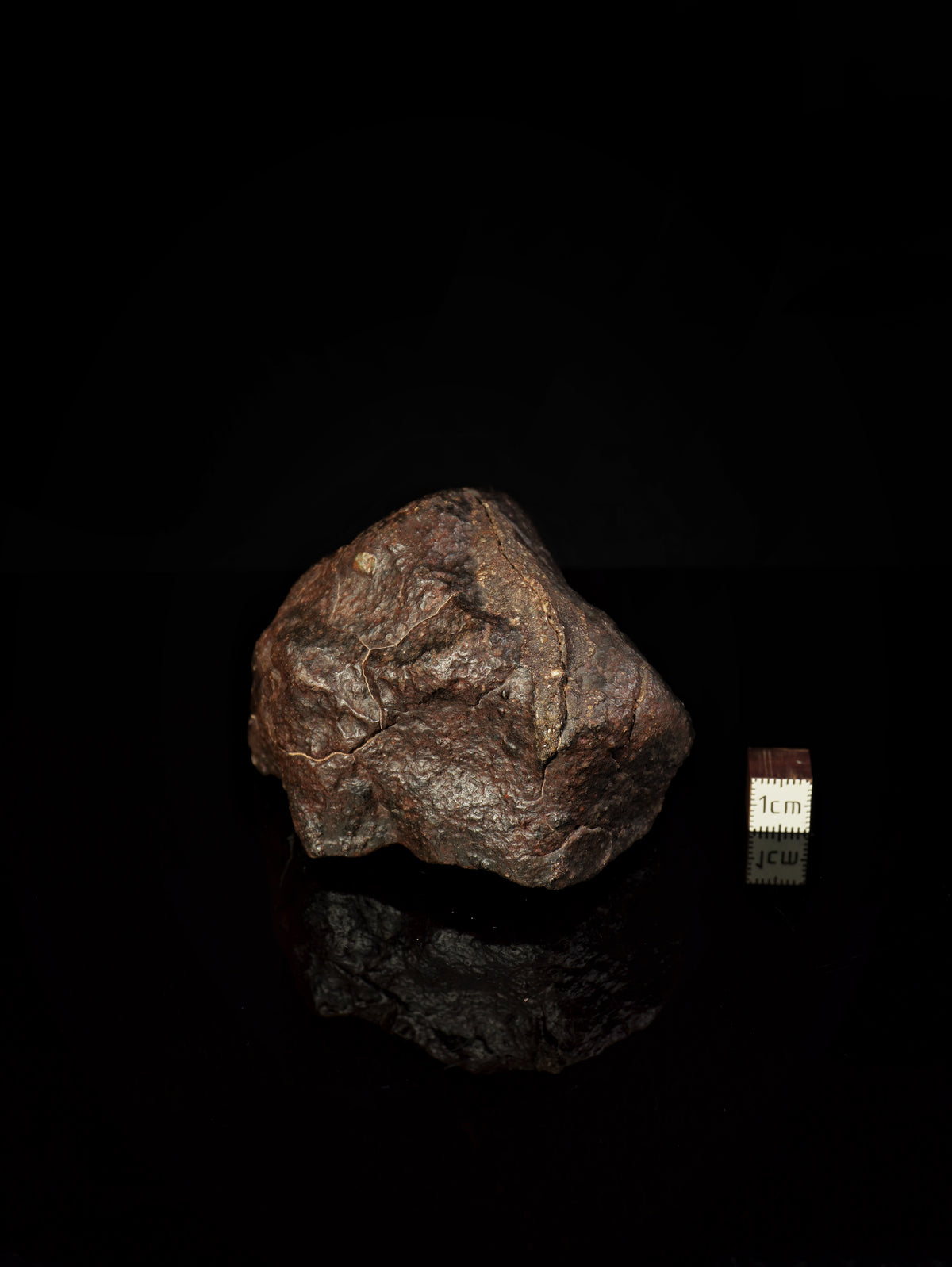 CHONDRITE METEORITE, NORTH WEST AFRICA. 368 GRAMS.