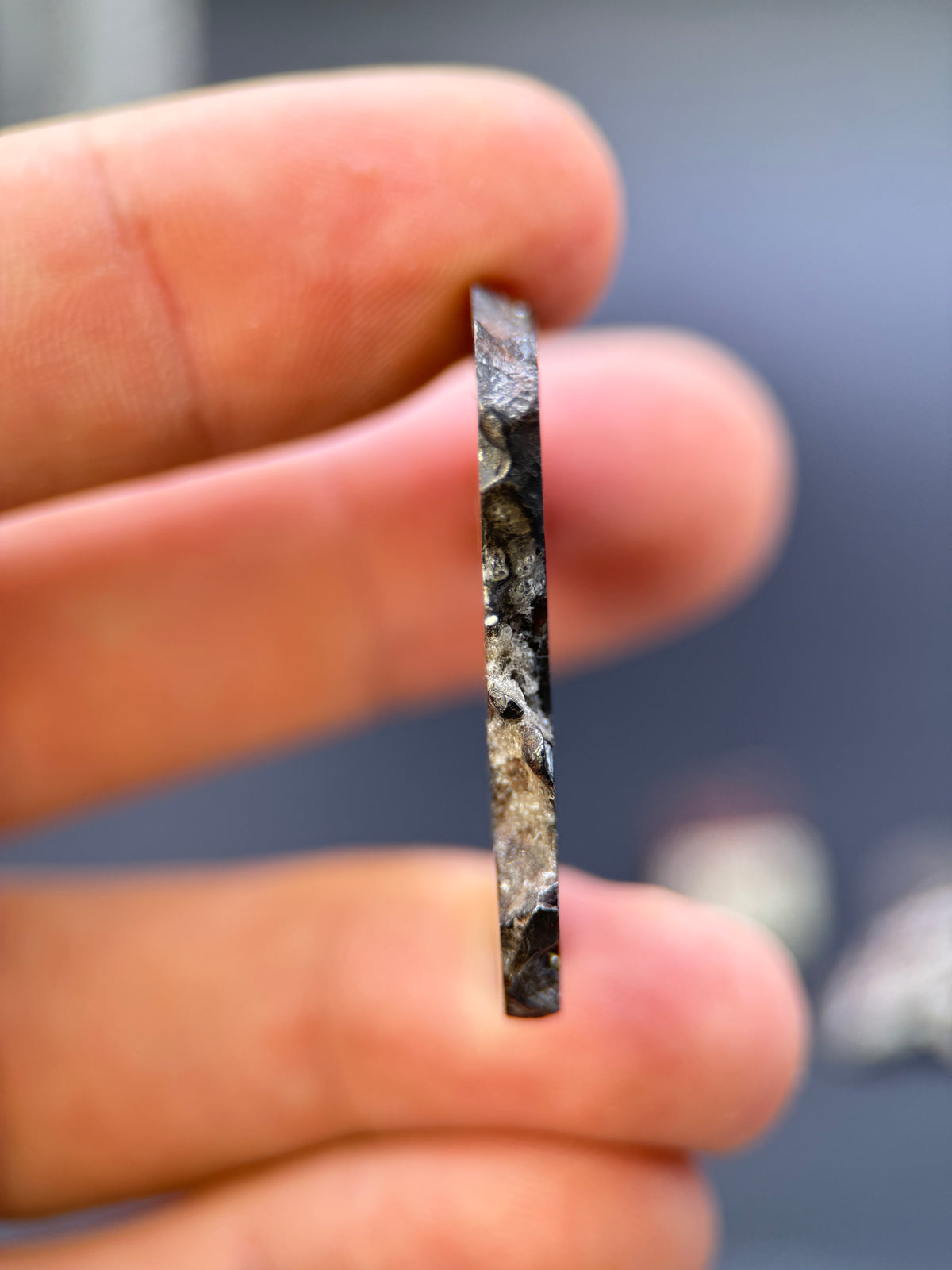 IMILAC PALLASITE METEORITE, CHILE. 12,56 GRAMS SLICE.
