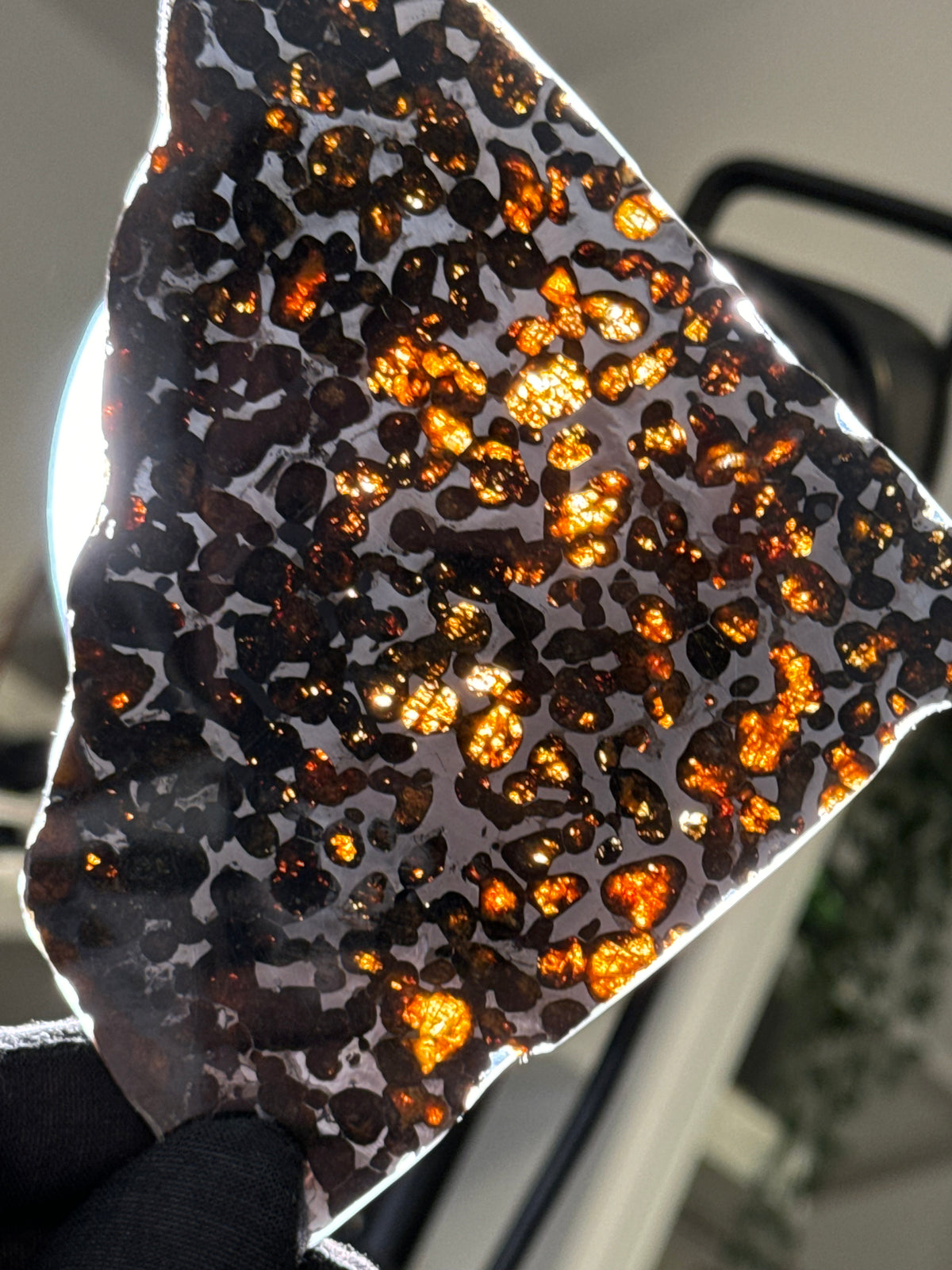 SERICHO METEORITE, KENYA. 74,56 GRAMS SLICE