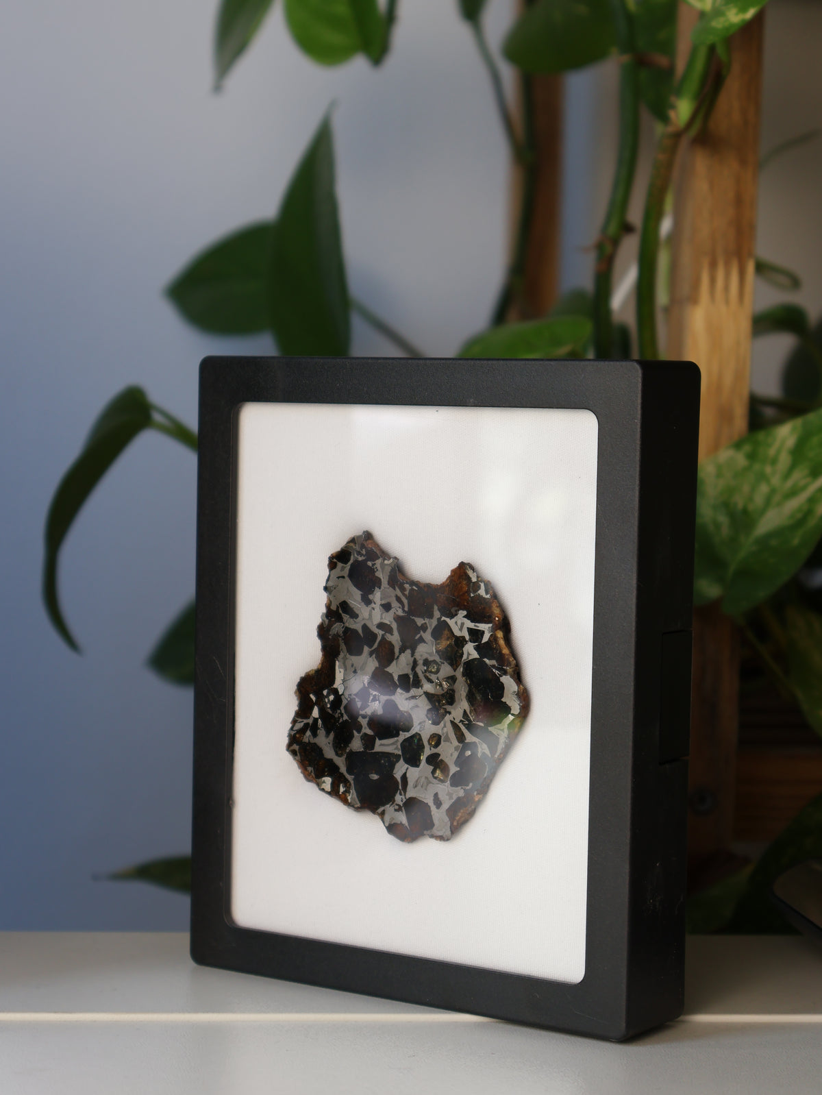 SEYMCHAN METEORITE, MAGADAN REGION, RUSSIA. 96 GRAMS END-CUT.