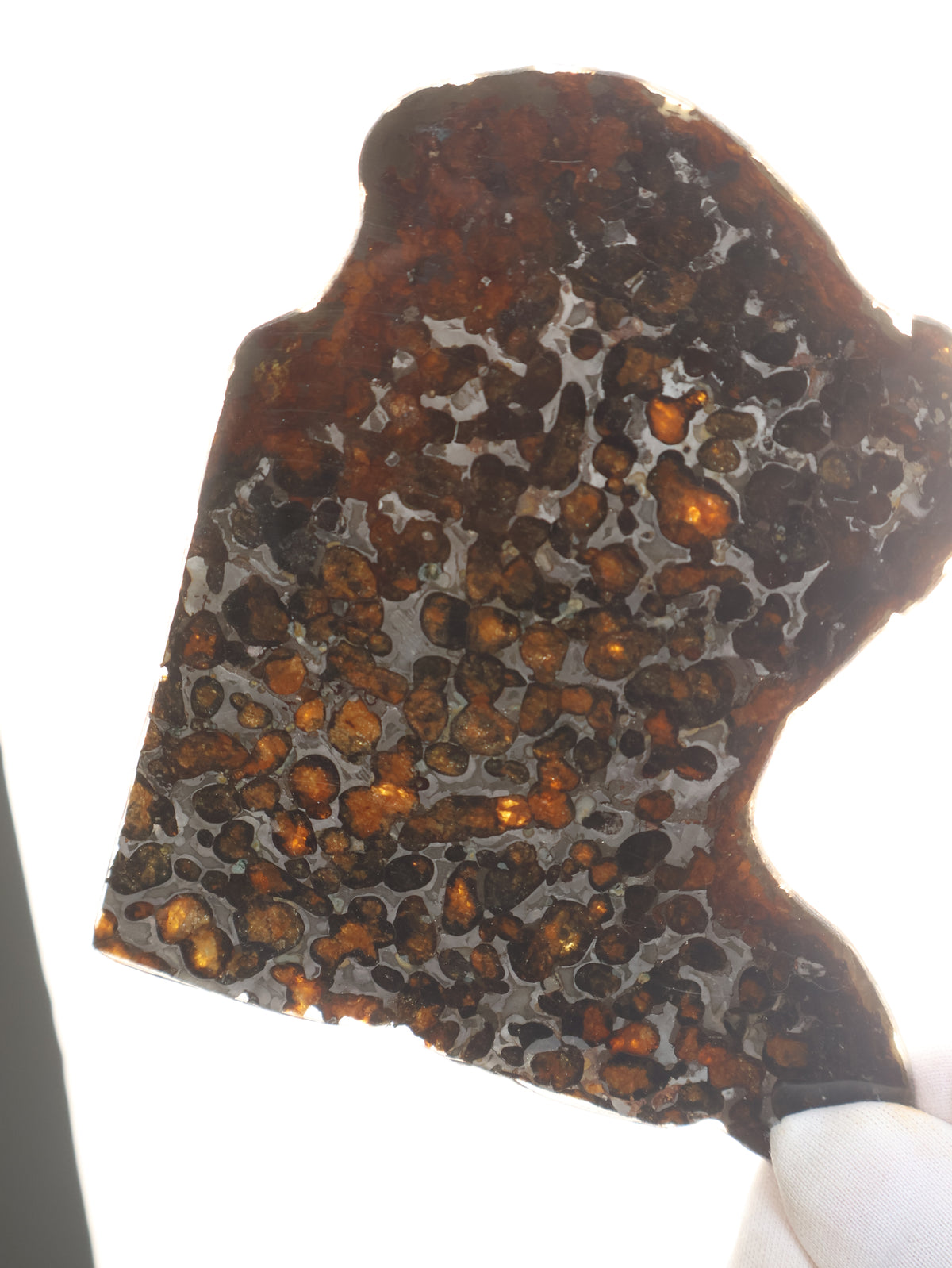 SERICHO METEORITE, KENYA. 74,82 GRAMS SLICE