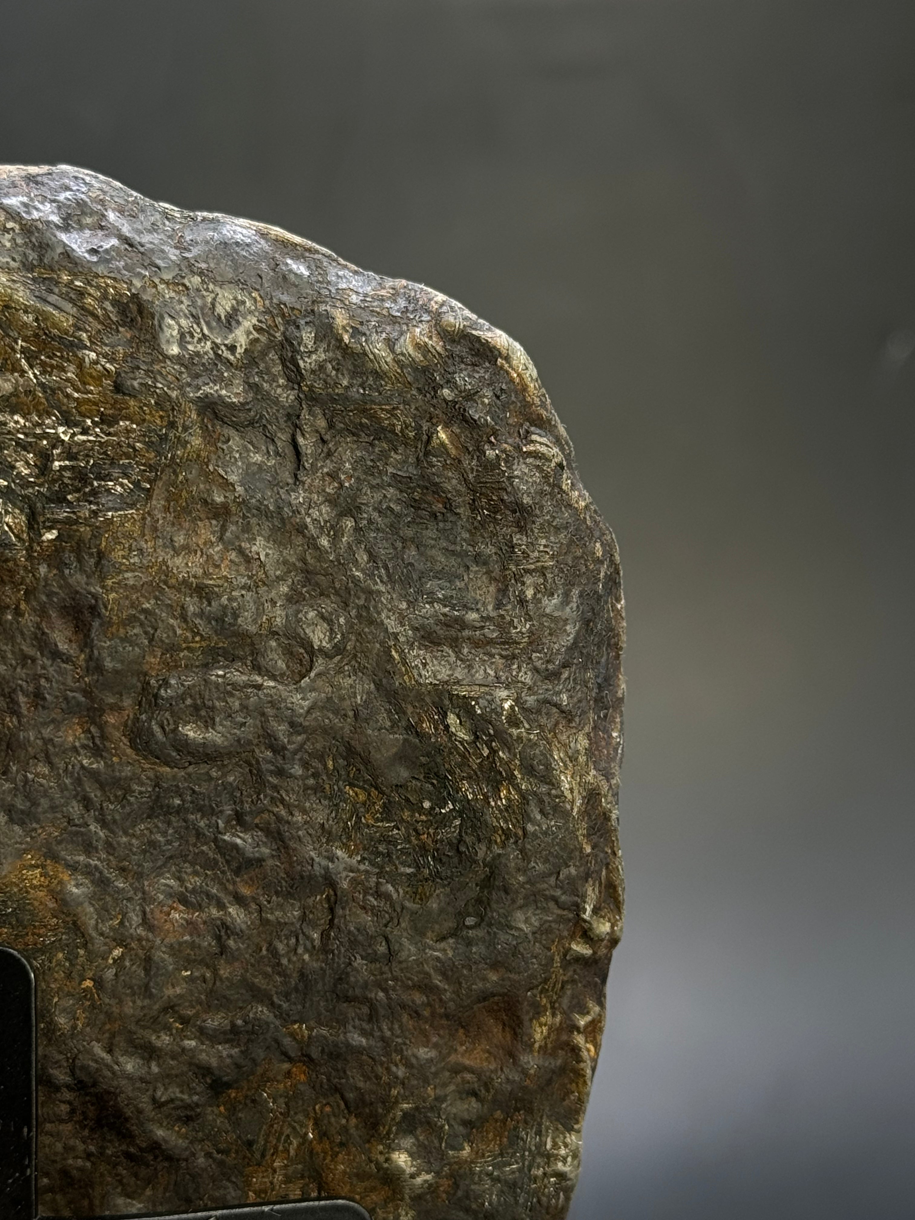MUONIONALUSTA METEORITE, SWEDEN. 684 GRAMS END-CUT.