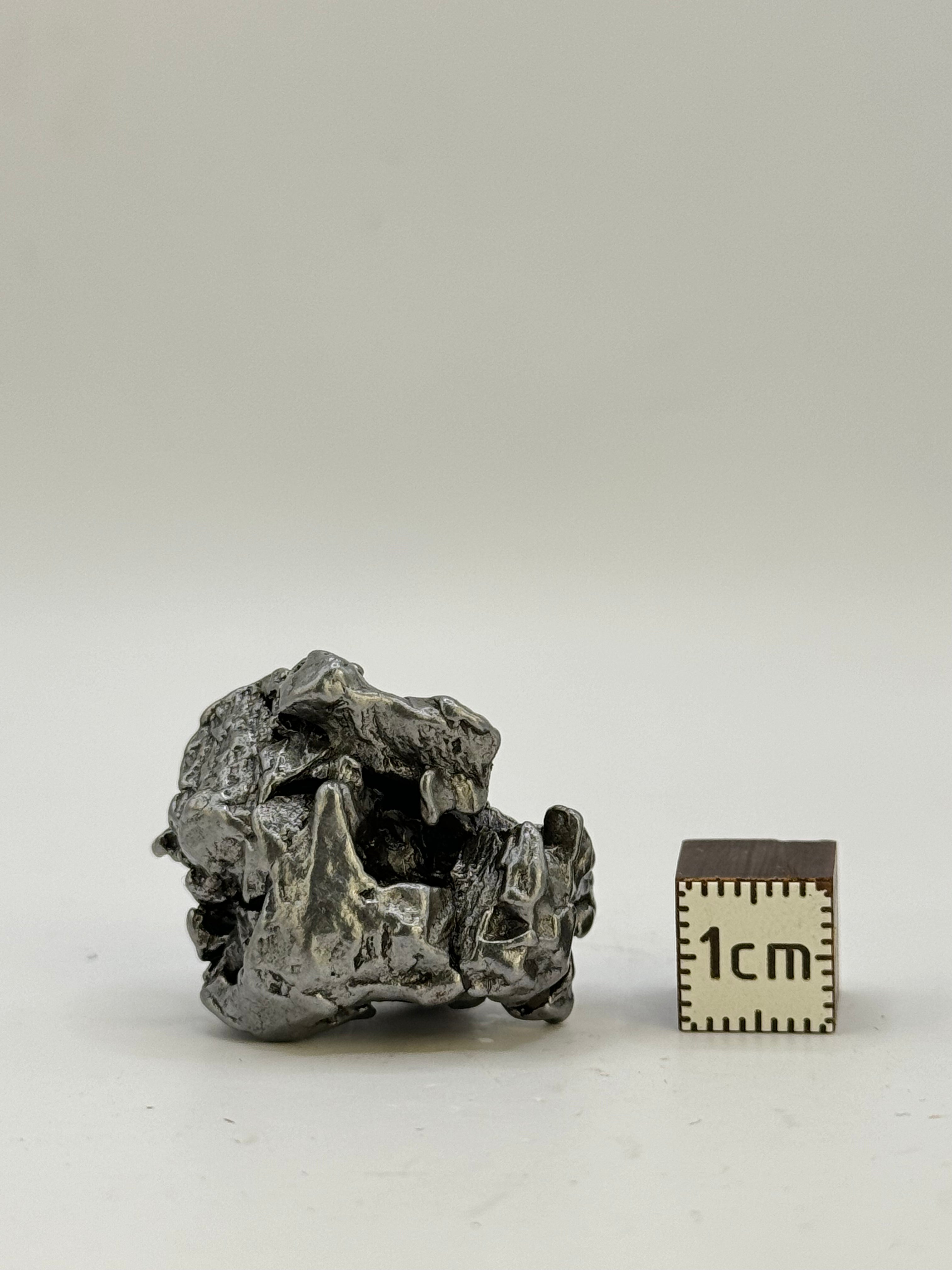 Campo del Cielo meteorite, South America. 29,51 grams.