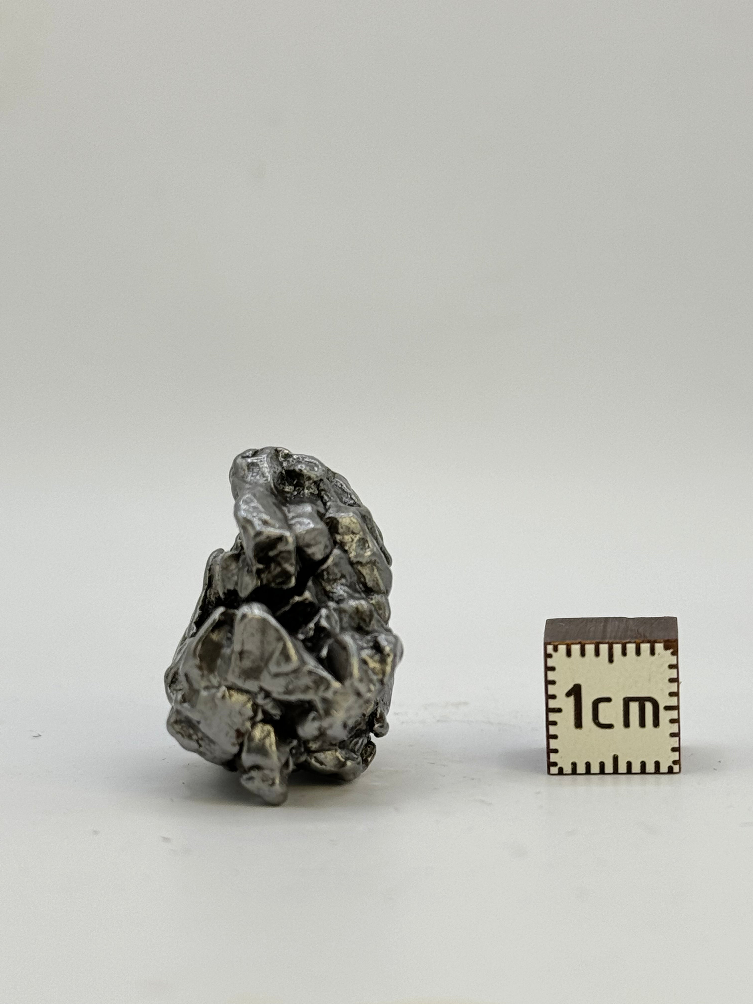 Campo del Cielo meteorite, South America. 29,51 grams.