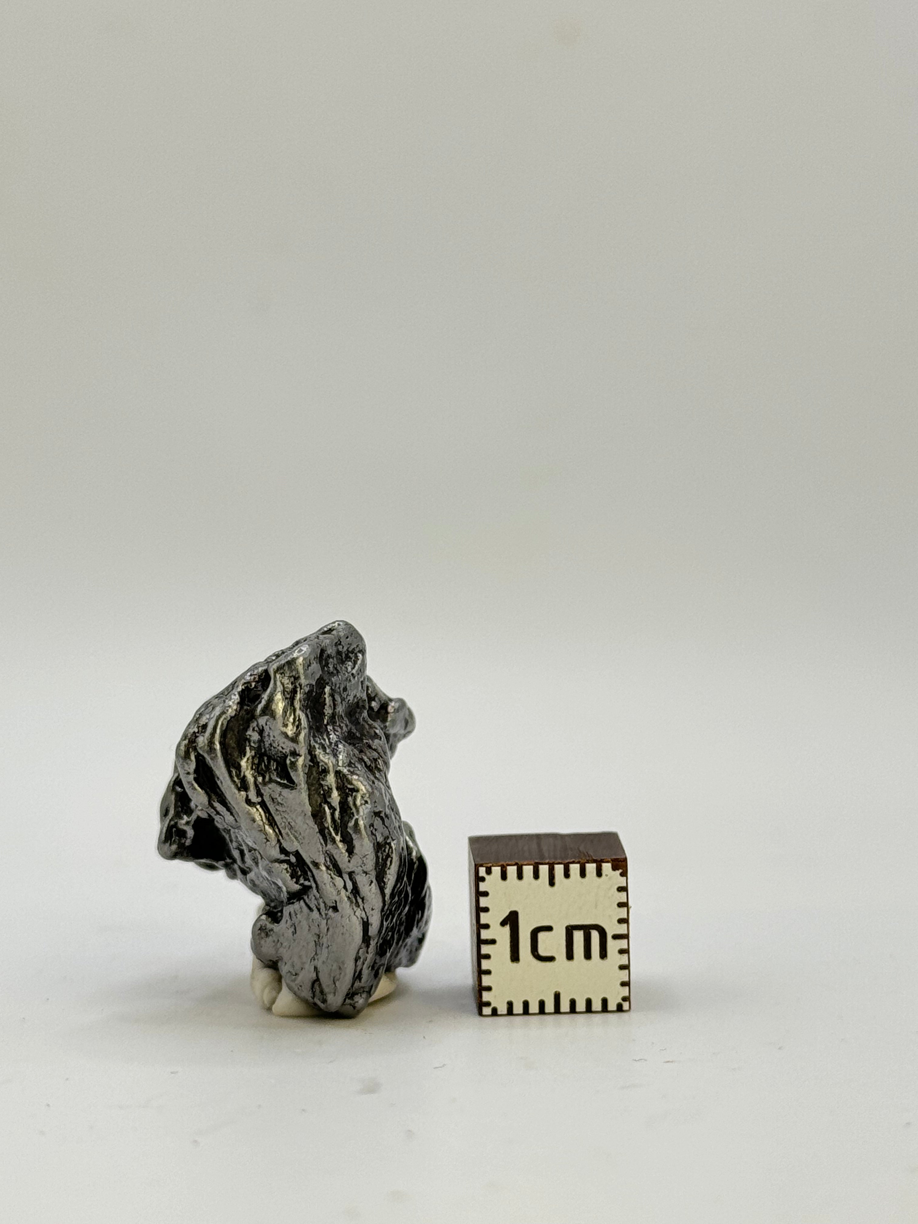 CAMPO DEL CIELO METEORITE, SOUTH AMERICA. 25,88 GRAMS.