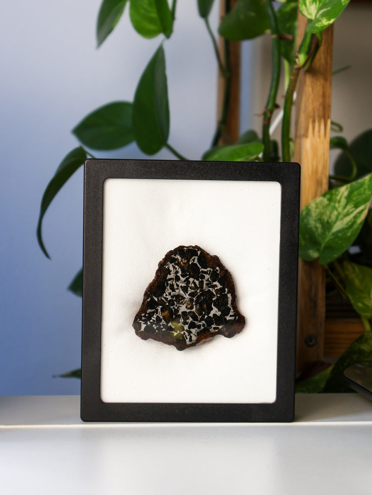 SEYMCHAN METEORITE, MAGADAN REGION, RUSSIA. 96 GRAMS END-CUT.