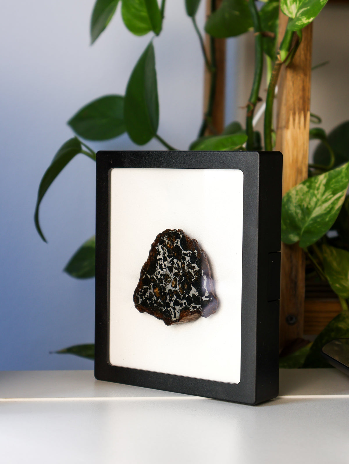 SEYMCHAN METEORITE, MAGADAN REGION, RUSSIA. 96 GRAMS END-CUT.