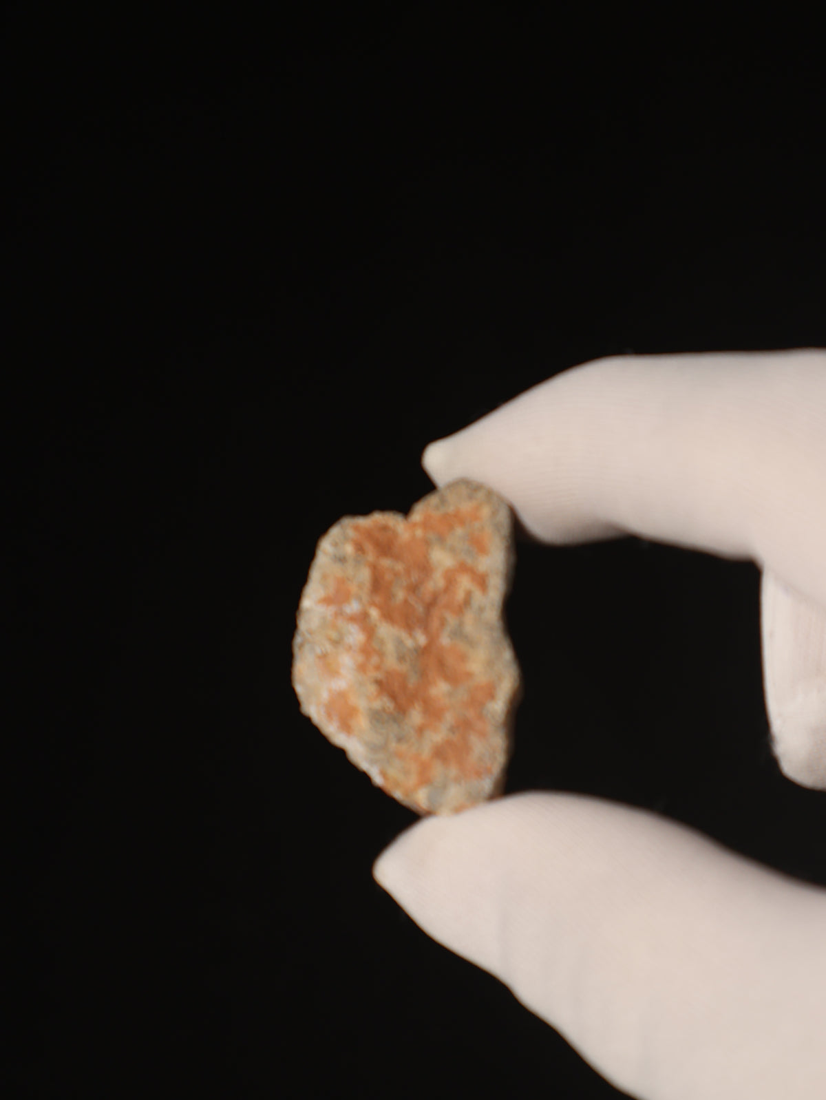 Lunar meteorite, Bechar 003, Algeria. 7,57 grams end-cut.