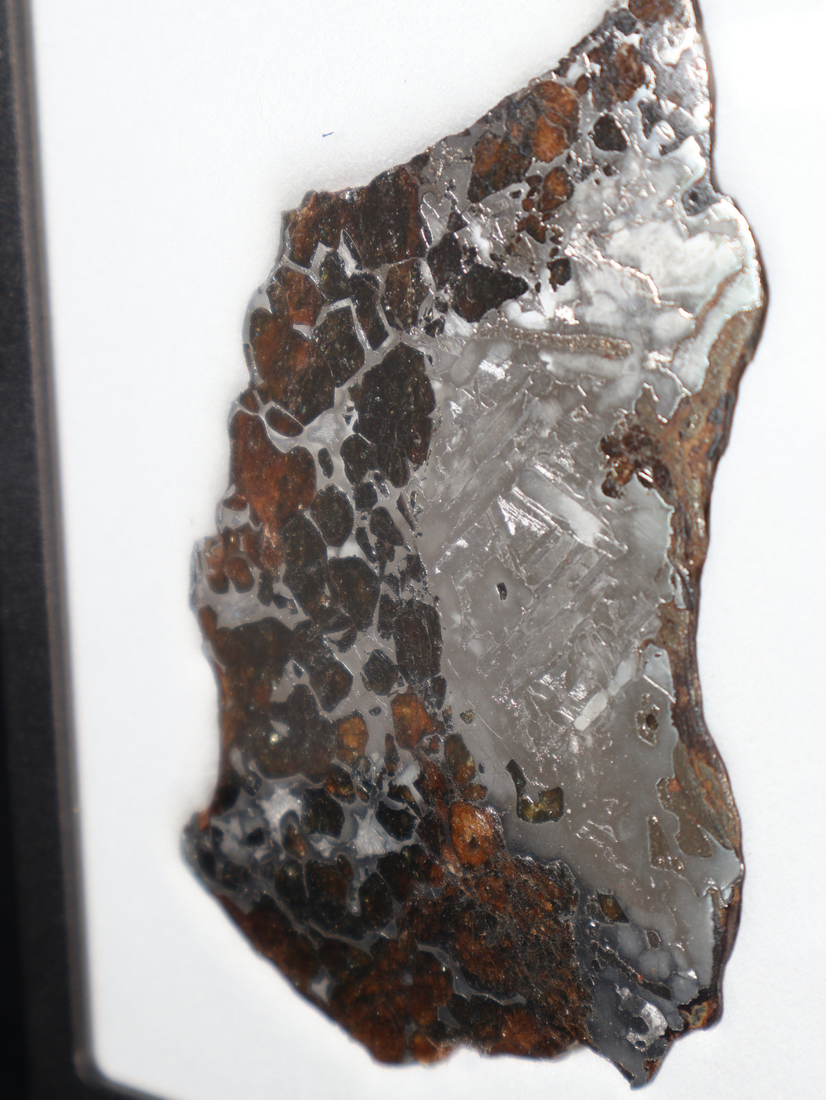 SEYMCHAN METEORITE, MAGADAN REGION, RUSSIA. 97,6 GRAMS.