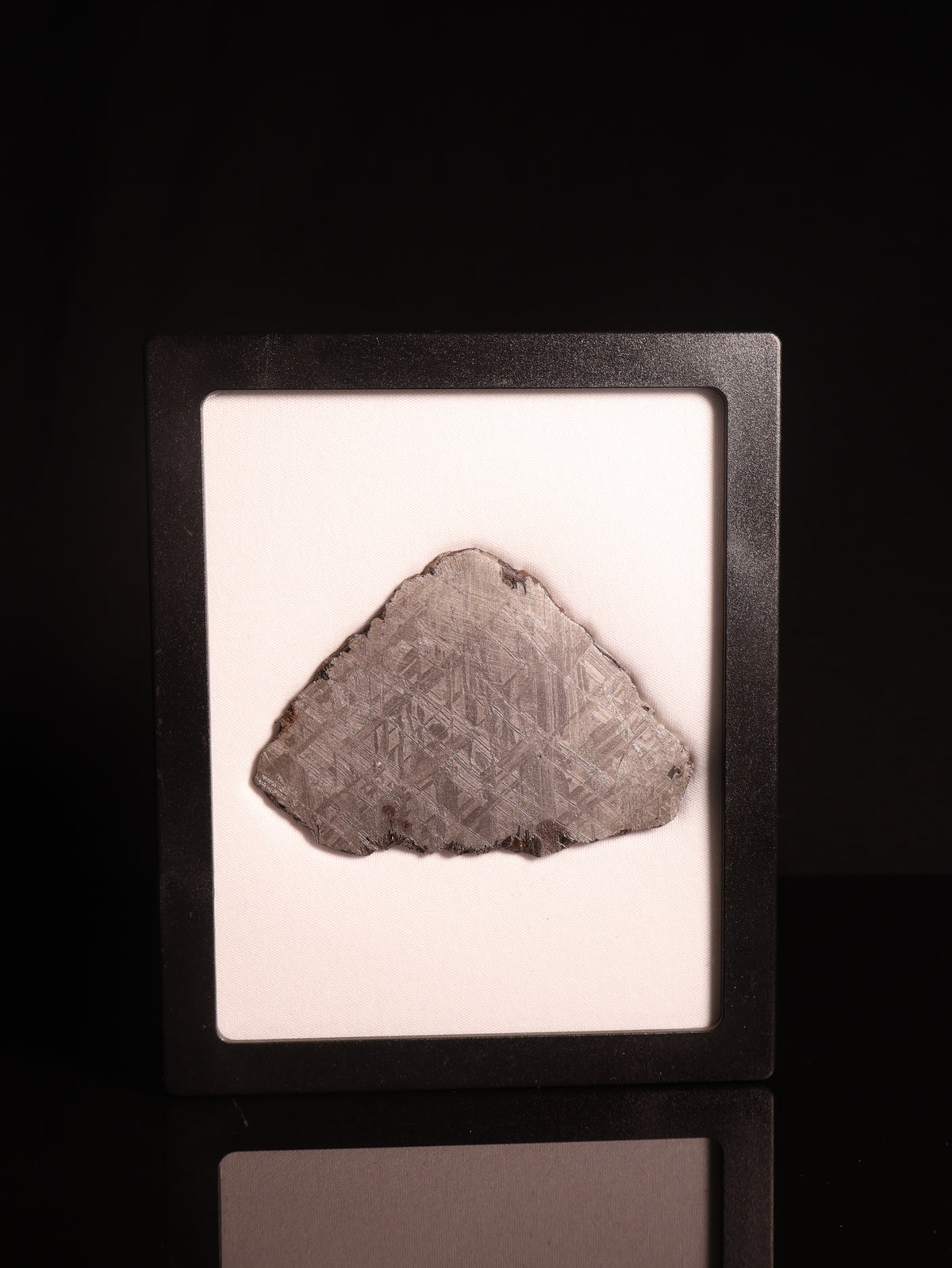 Muonionalusta meteorite, Sweden. 82,43 grams.