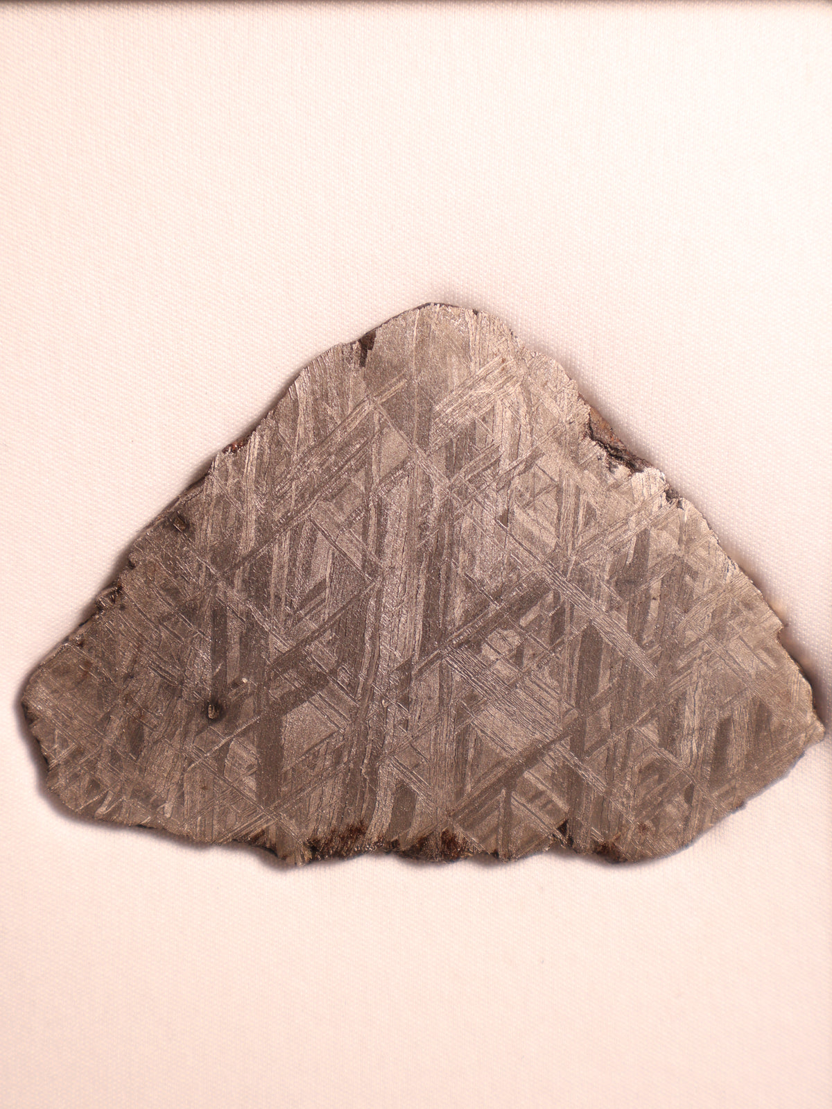 Muonionalusta meteorite, Sweden. 82,43 grams.