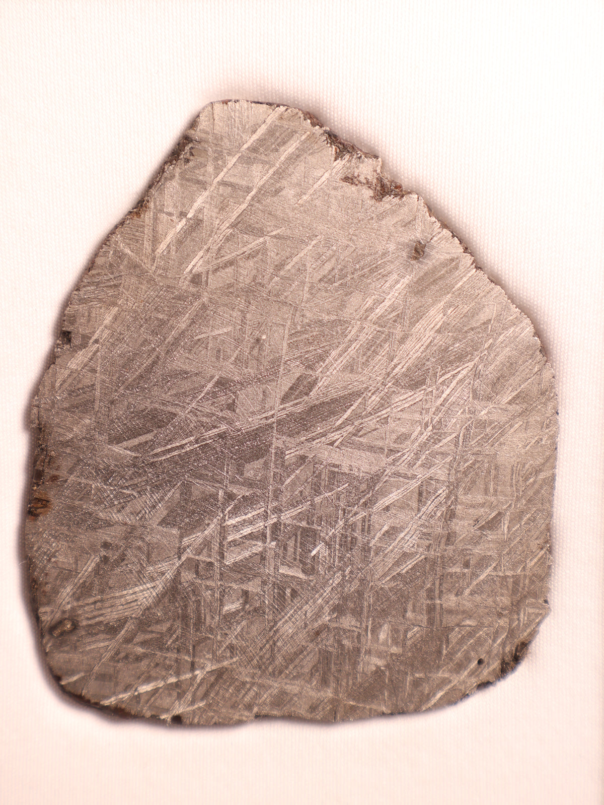 MUONIONALUSTA METEORITE, SWEDEN. 117 GRAMS.