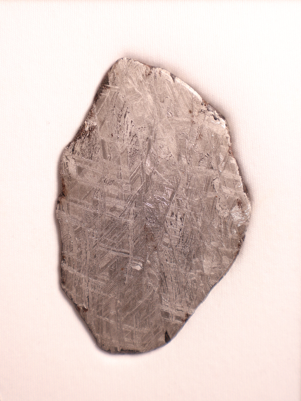 Muonionalusta Meteorite, Sweden. Slice 76.84 grams