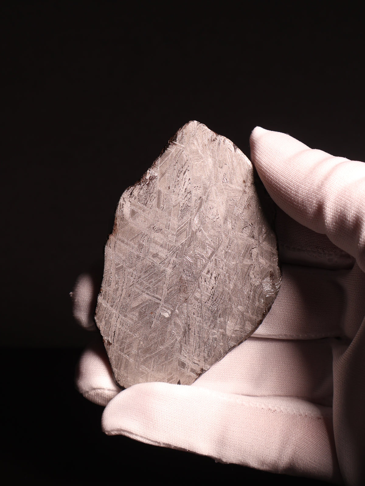 Muonionalusta Meteorite, Sweden. Slice 76.84 grams