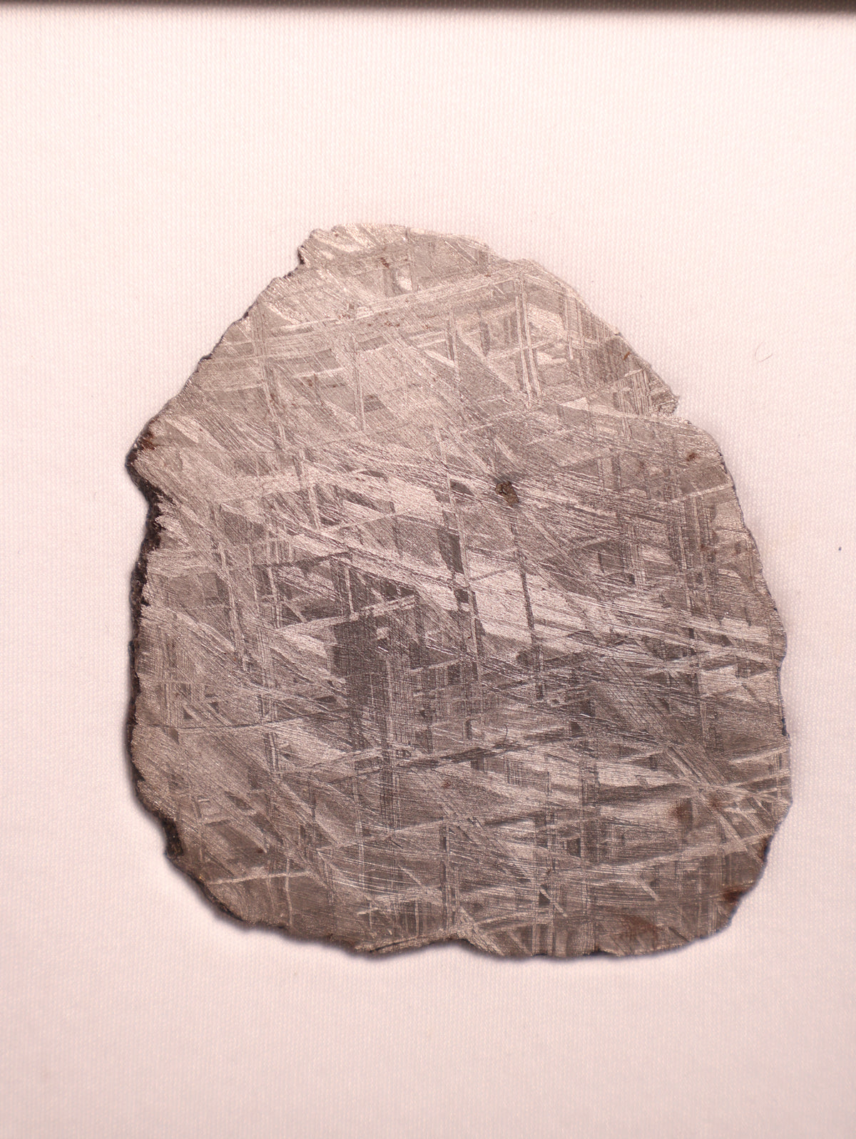 MUONIONALUSTA METEORITE, SWEDEN. 72,07 GRAMS.