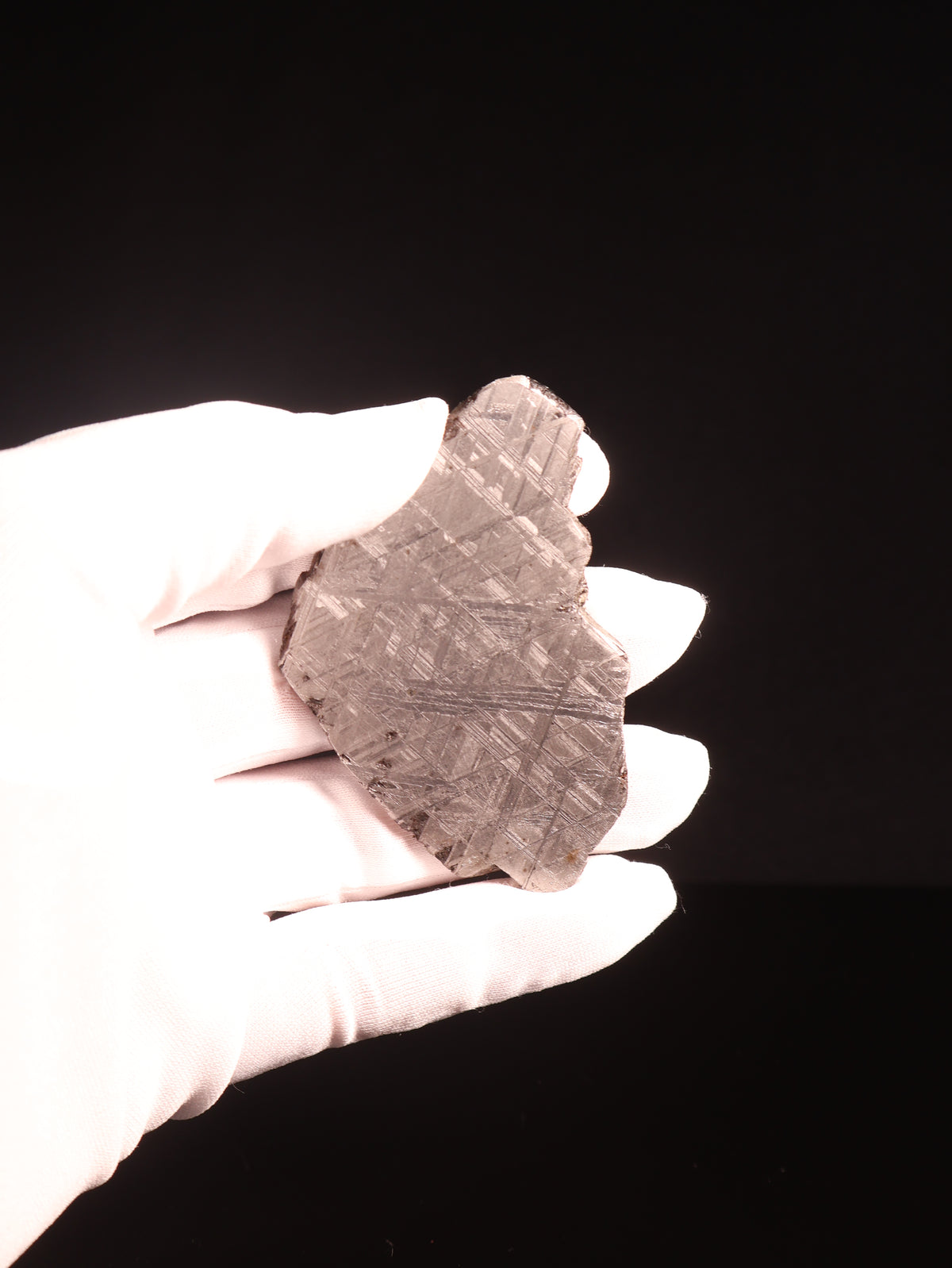 Muonionalusta meteorite, Sweden. 73,71 grams.