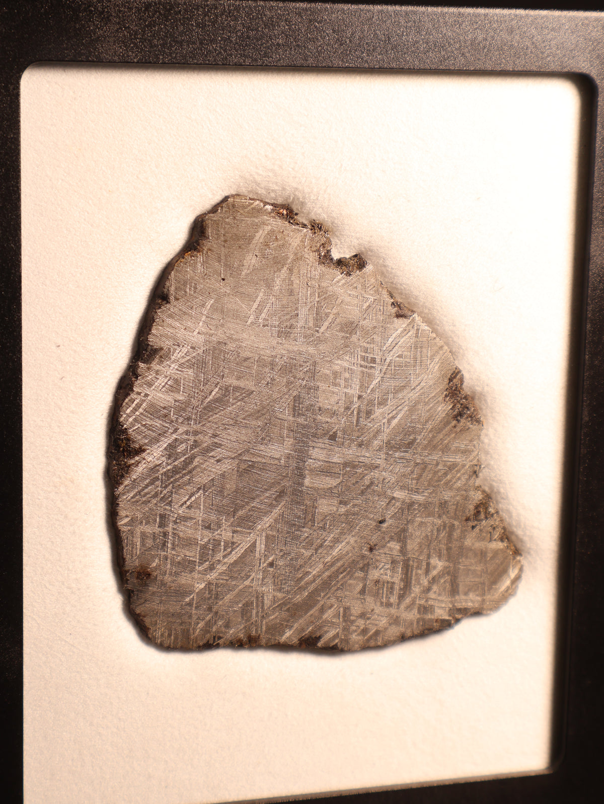 MUONIONALUSTA METEORITE, SWEDEN. 77.34 GRAMS.