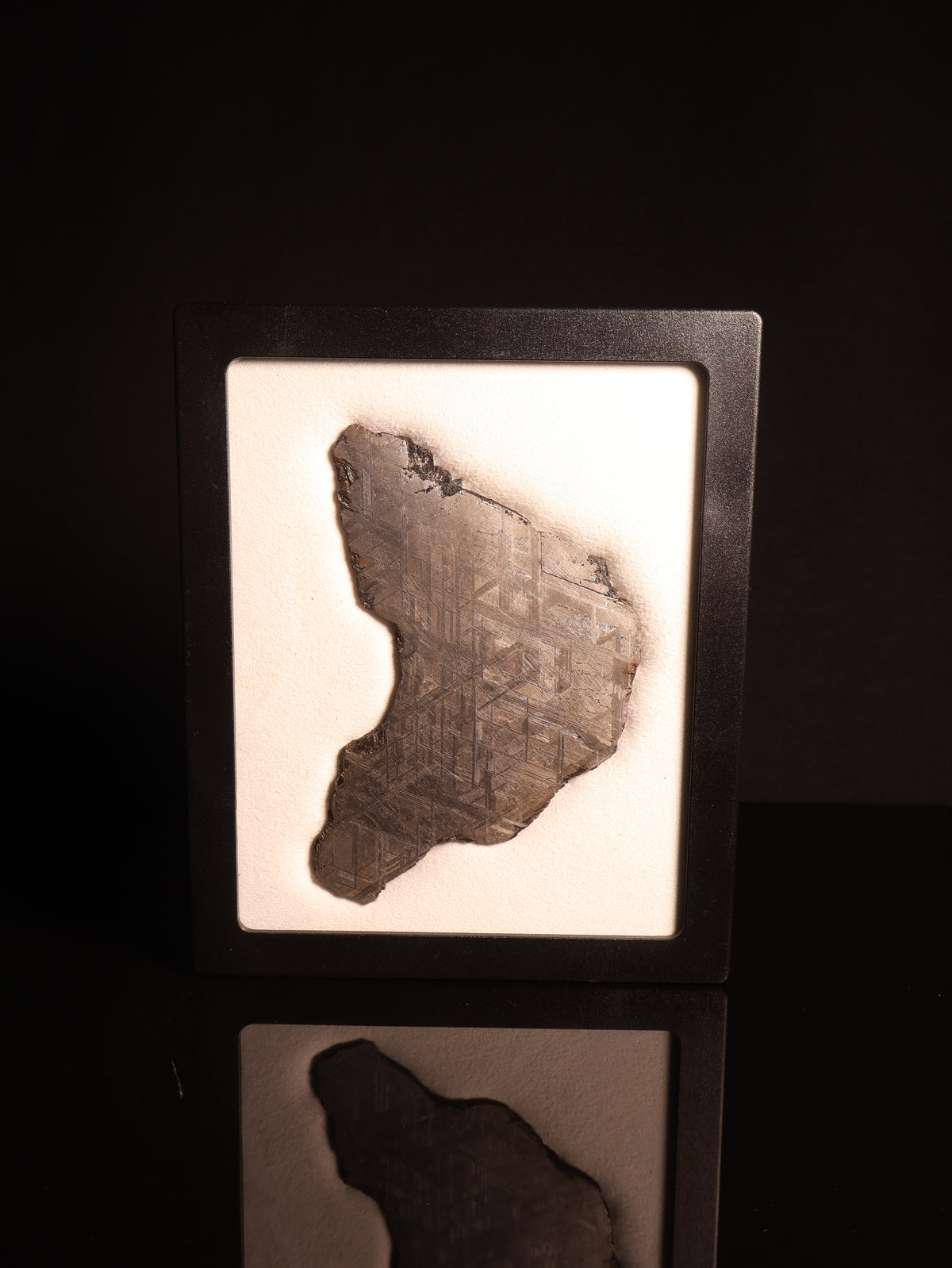 Muonionalusta meteorite, Sweden. 94,46 grams.