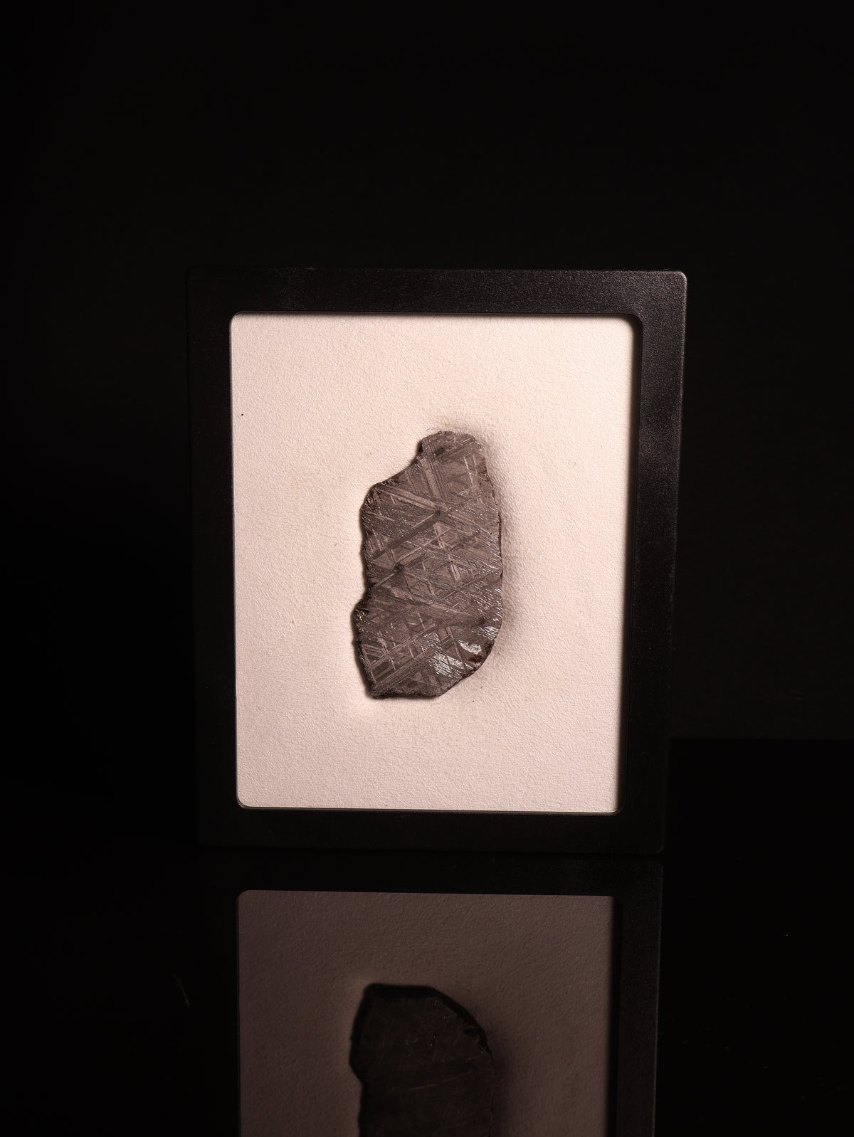 Muonionalusta meteorite, Sweden. 47,79 grams.