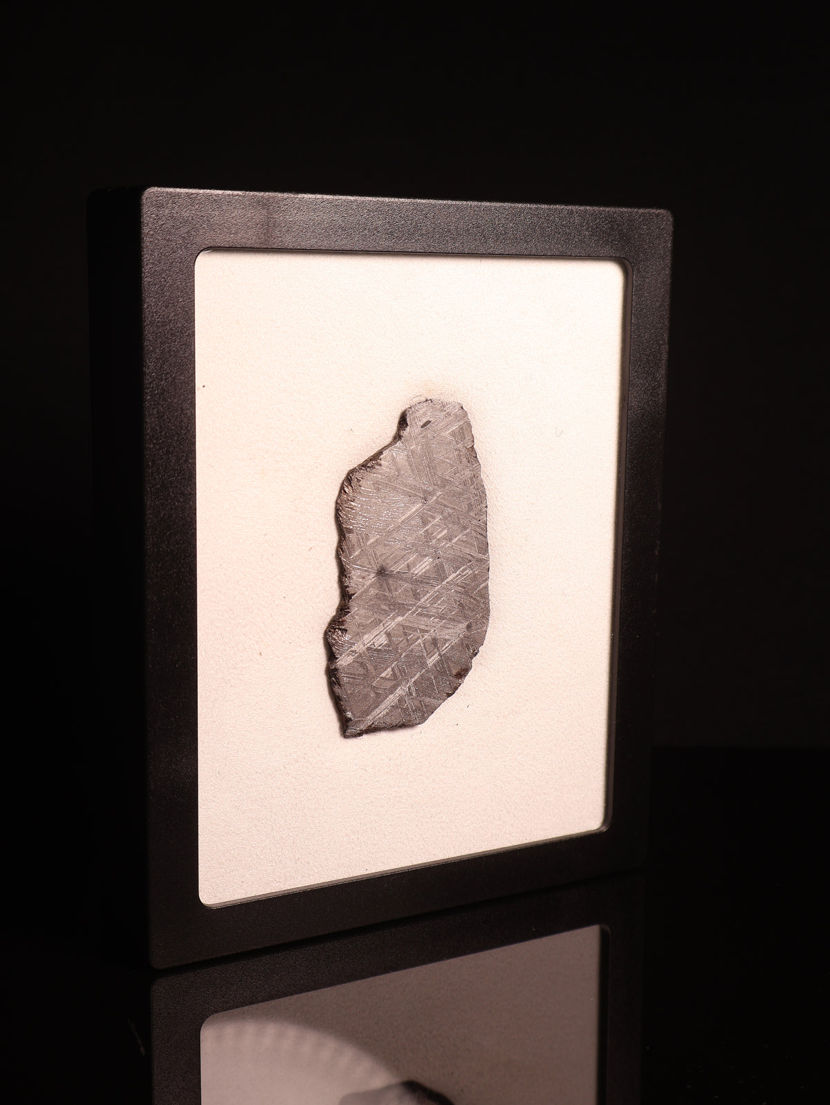 Muonionalusta meteorite, Sweden. 47,79 grams.