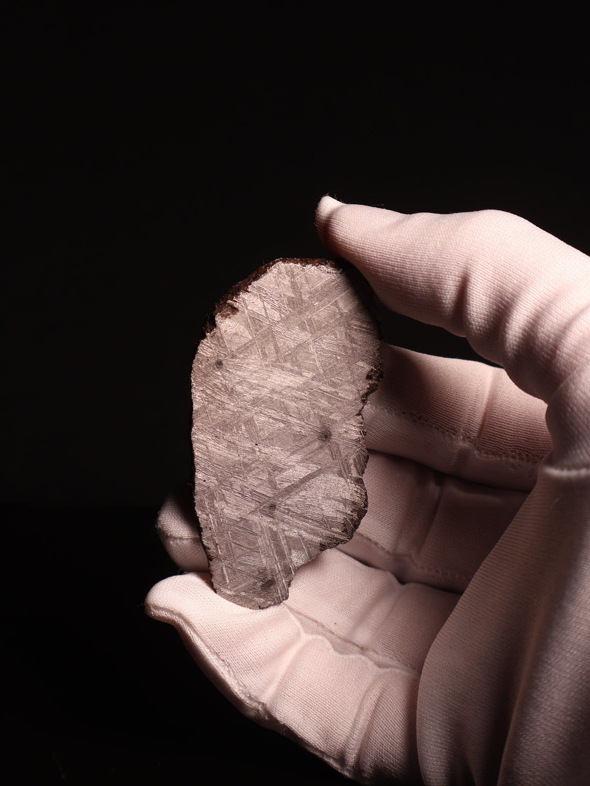 Muonionalusta meteorite, Sweden. 47,79 grams.