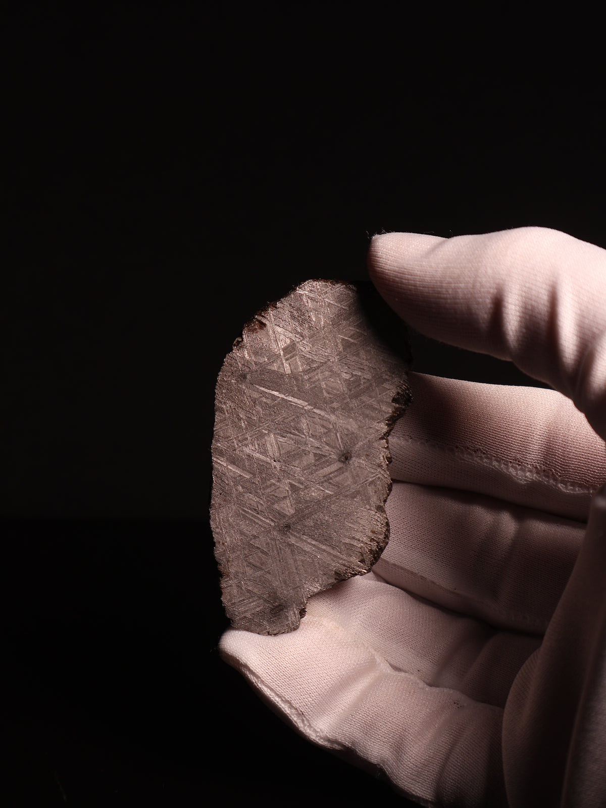 Muonionalusta meteorite, Sweden. 47,79 grams.