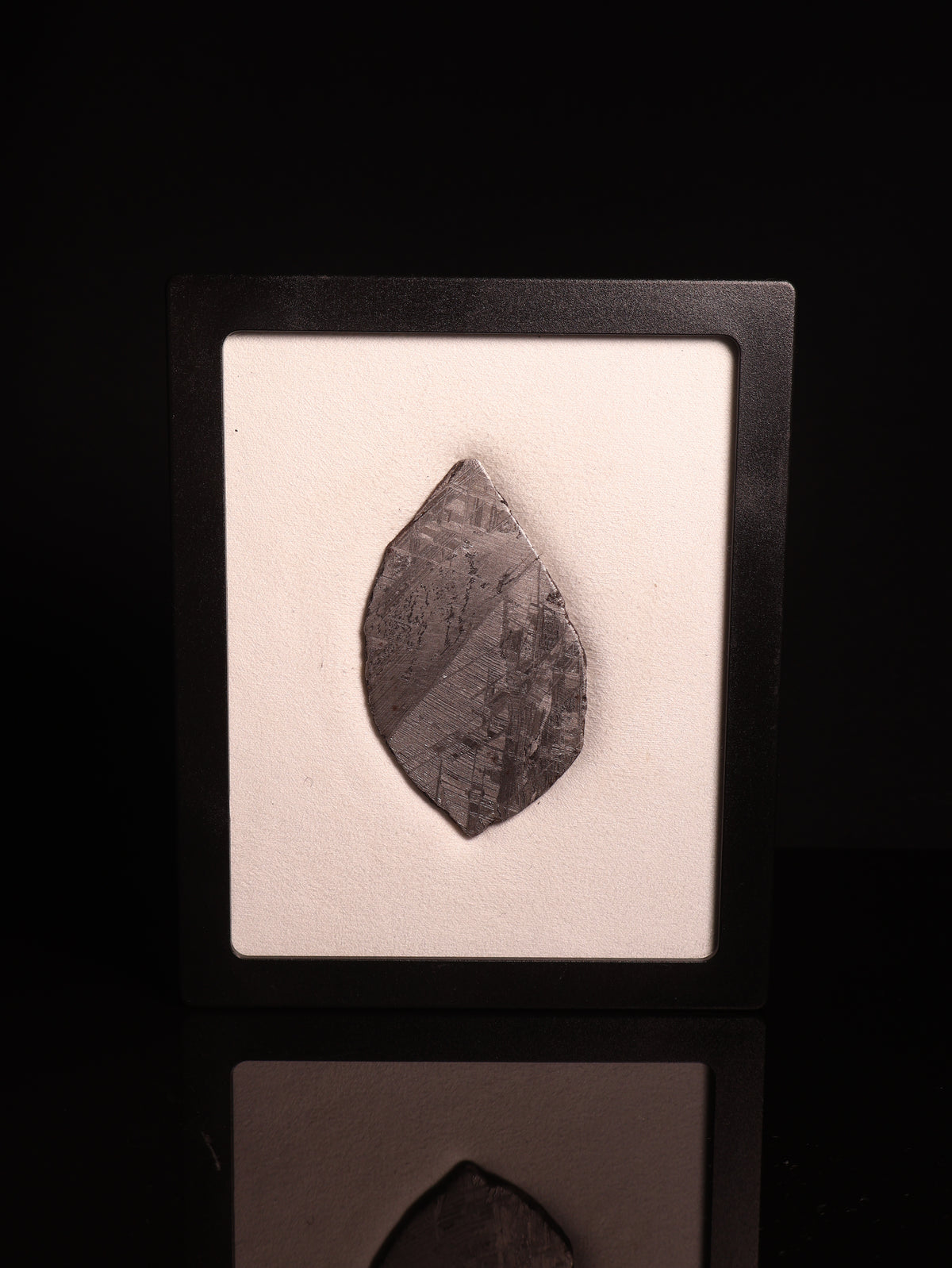 MUONIONALUSTA METEORITE, SWEDEN. 53.89 GRAMS.