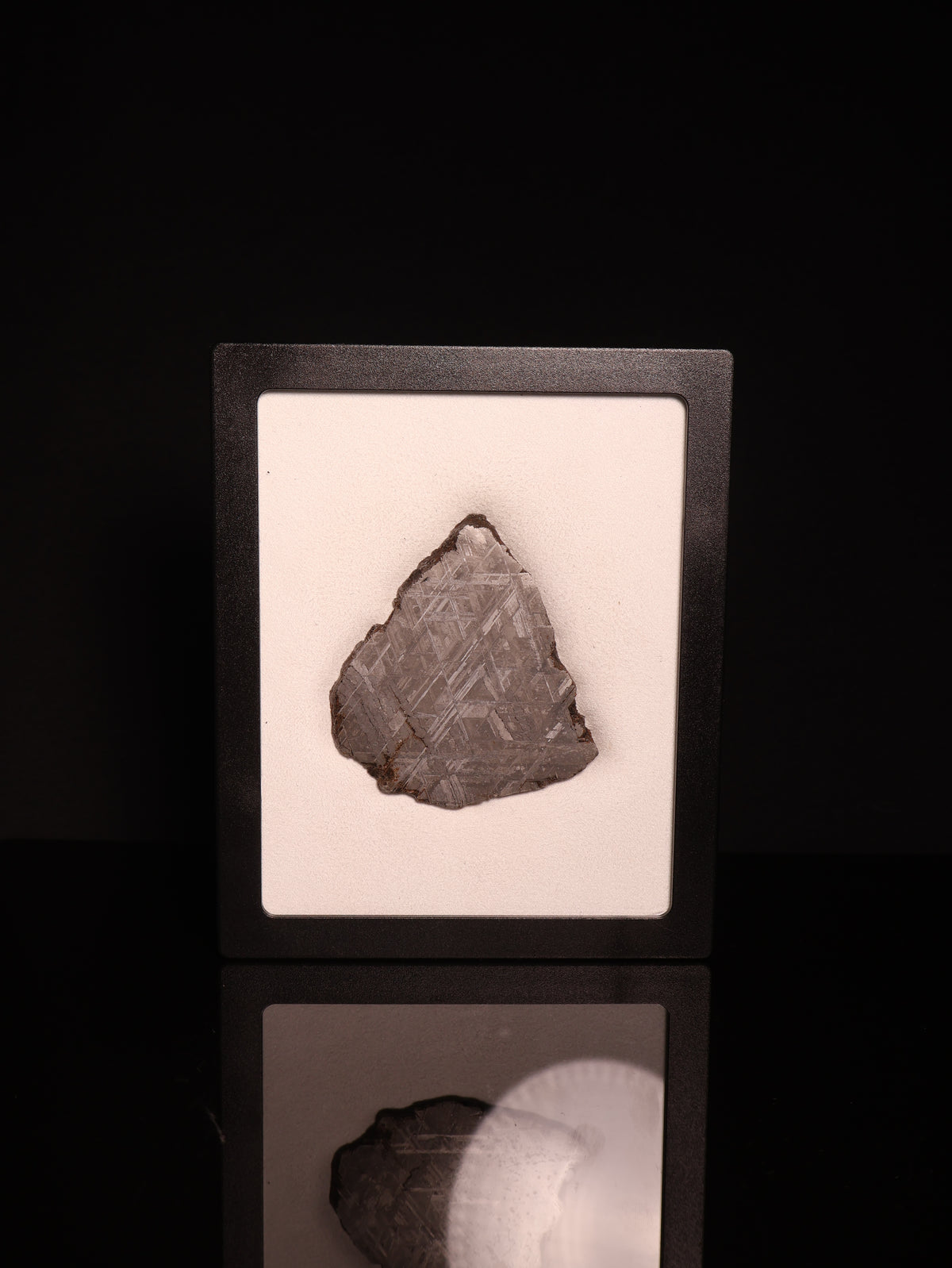MUONIONALUSTA METEORITE, SWEDEN. 81 GRAMS.