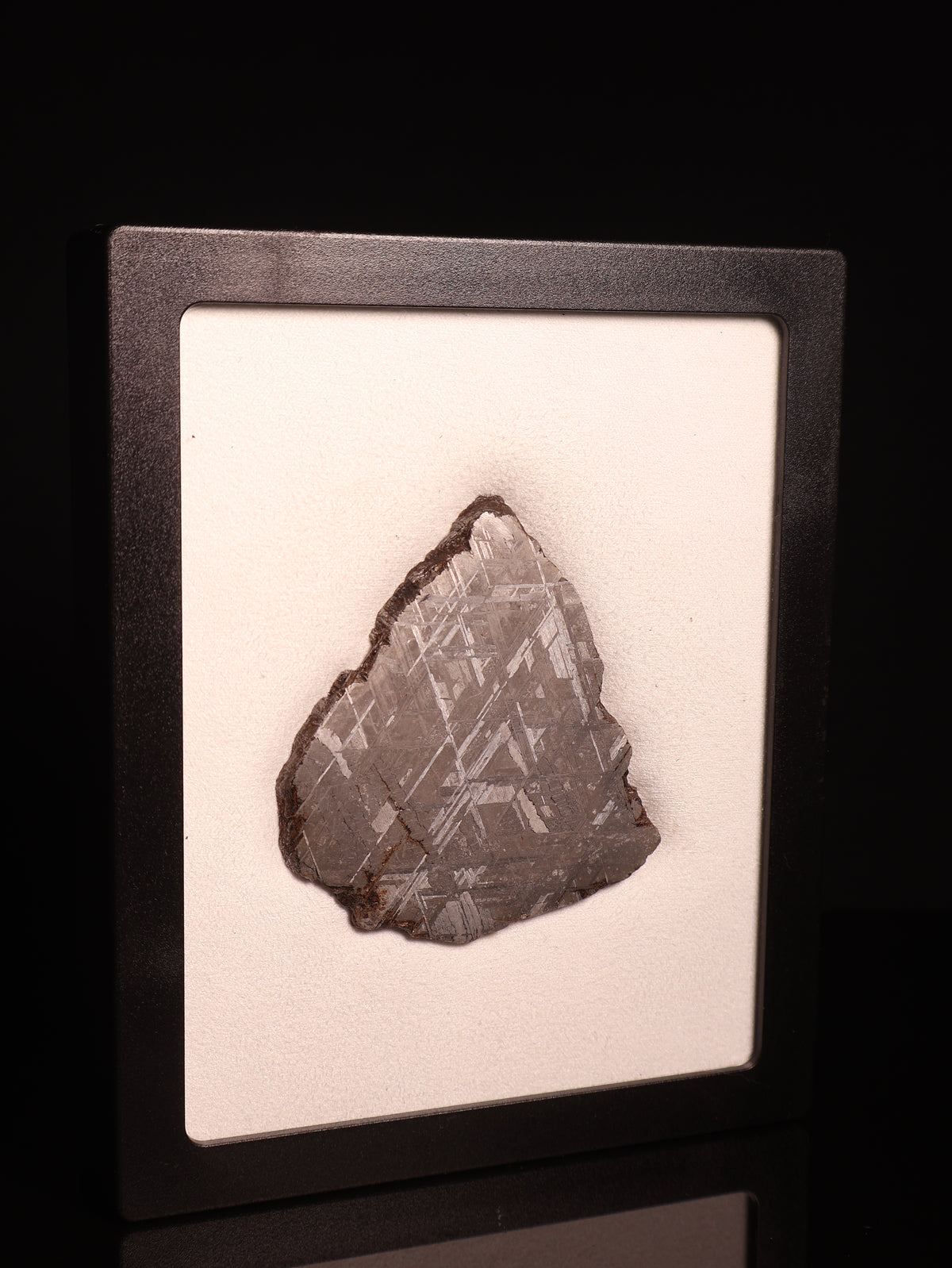 MUONIONALUSTA METEORITE, SWEDEN. 81 GRAMS.