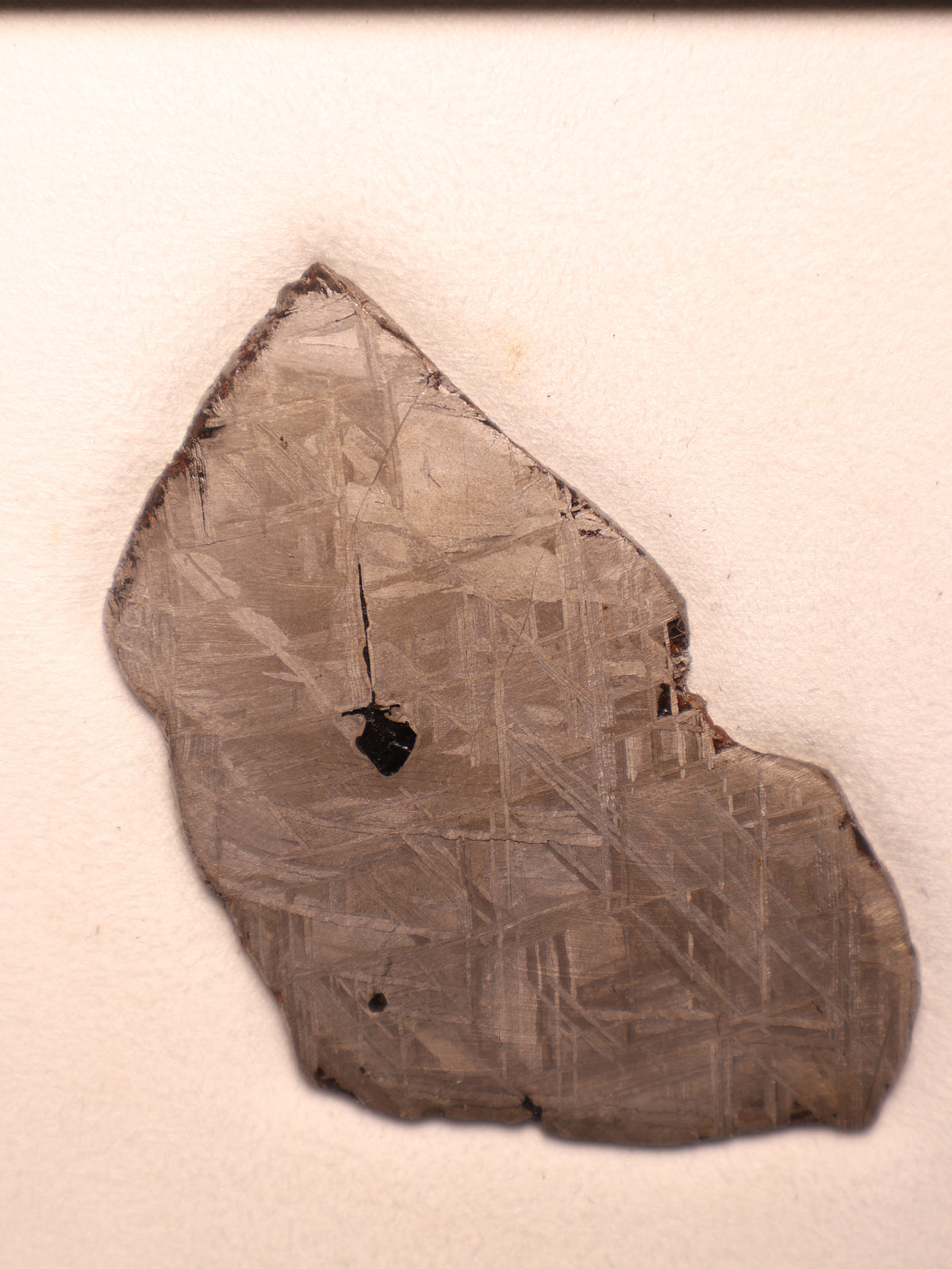 MUONIONALUSTA METEORITE, SWEDEN. 65 GRAMS.