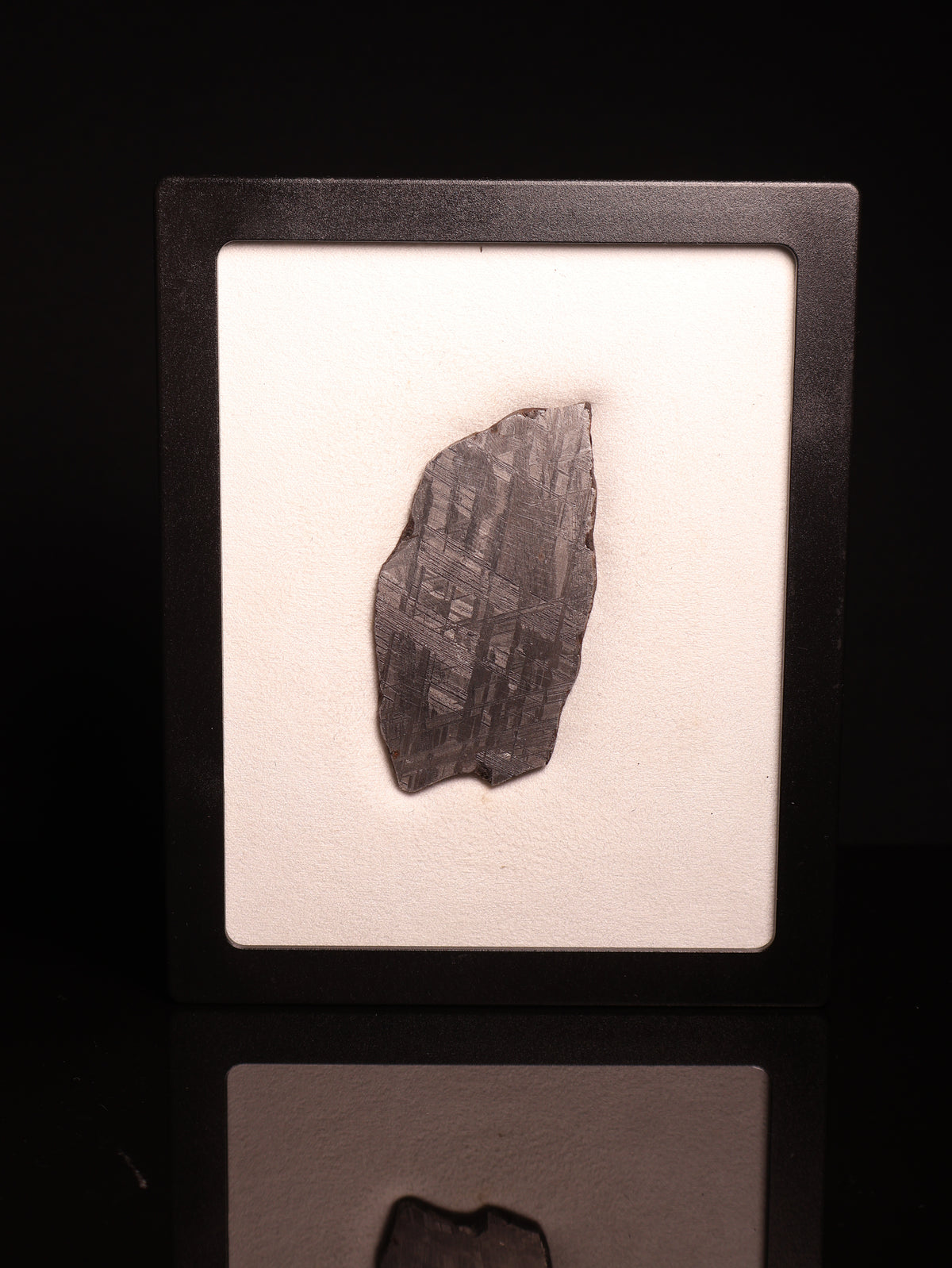 MUONIONALUSTA METEORITE, SWEDEN. 49.3 GRAMS.