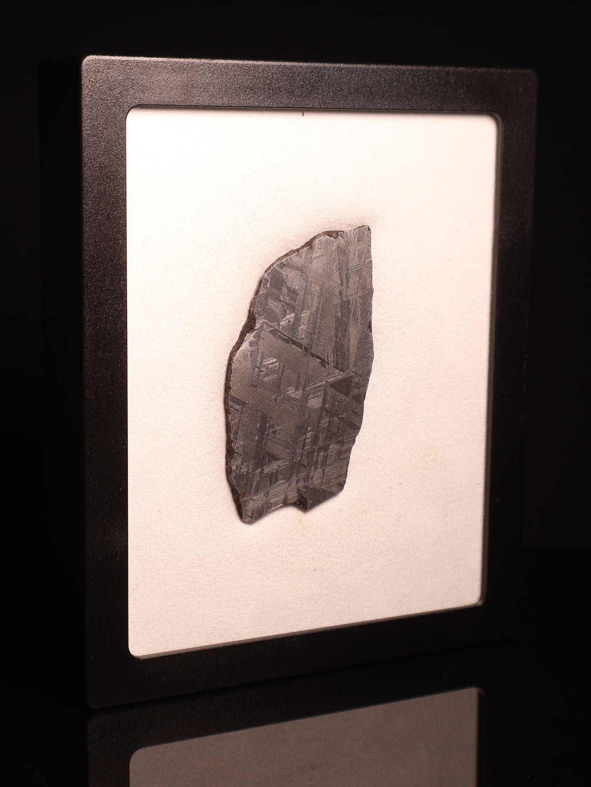 MUONIONALUSTA METEORITE, SWEDEN. 49.3 GRAMS.