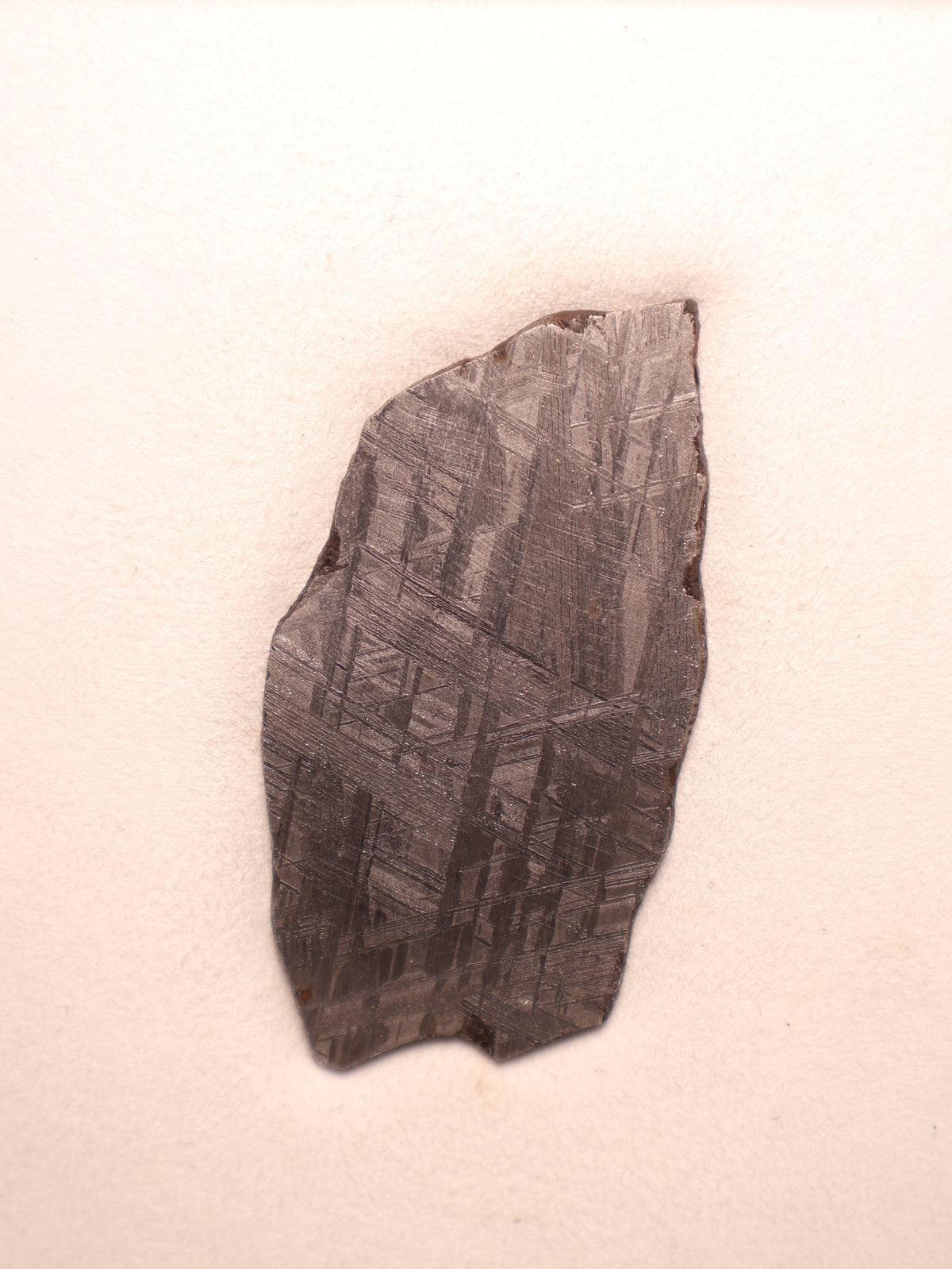 MUONIONALUSTA METEORITE, SWEDEN. 49.3 GRAMS.