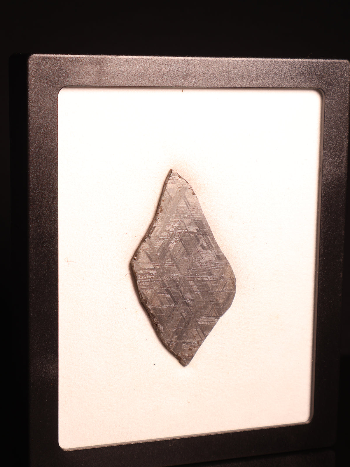 MUONIONALUSTA METEORITE, SWEDEN. 42.2 GRAMS.