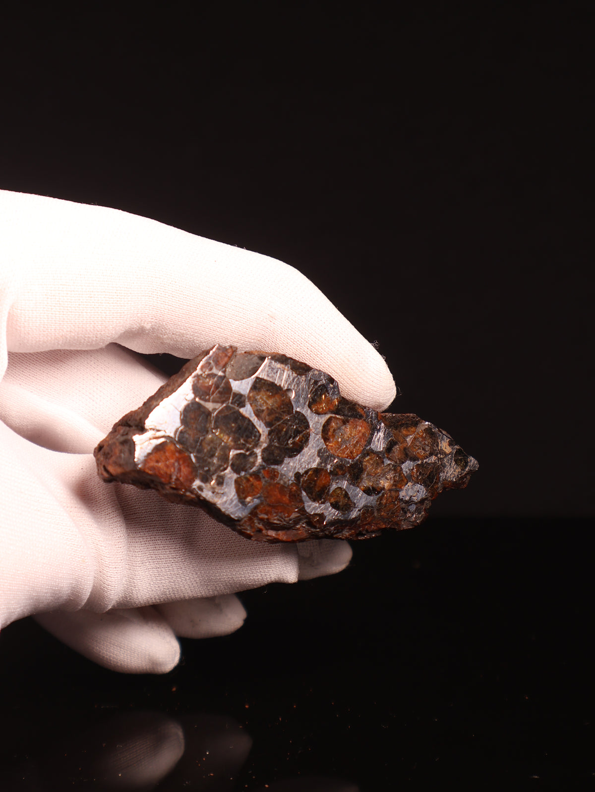 SERICHO PALLASITE METEORITE, KENYA. 89,5 GRAMS END-CUT