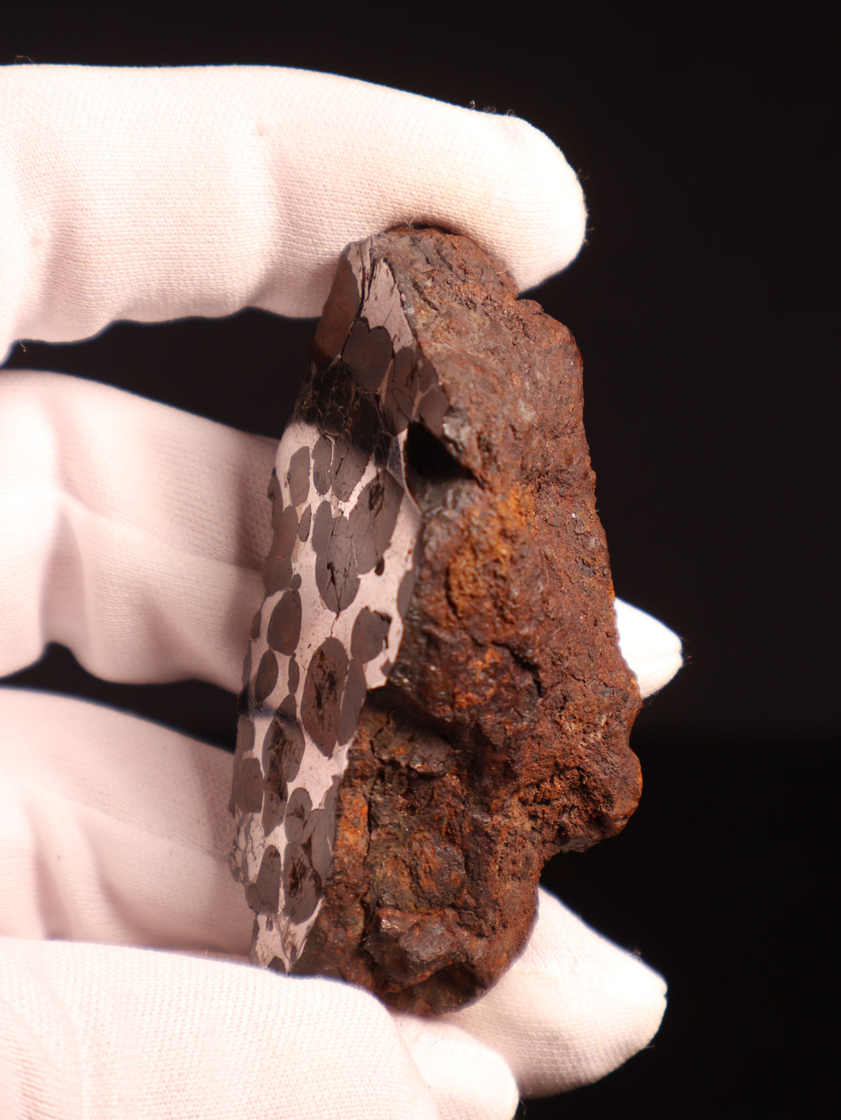 SERICHO PALLASITE METEORITE, KENYA. 89,5 GRAMS END-CUT