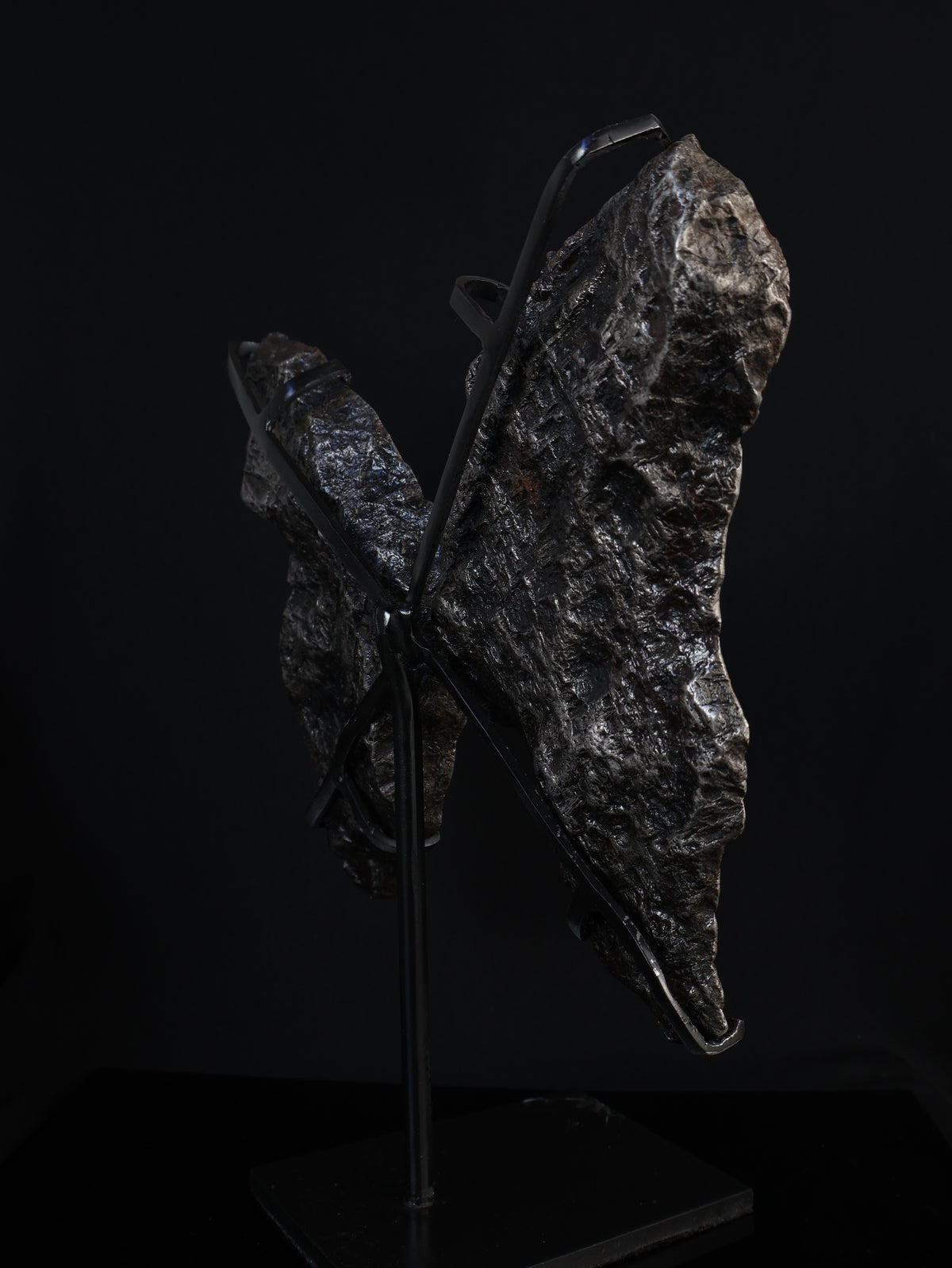 "COSMIC BUTTERFLY" MUONIONALUSTA, SWEDEN. FULL METEORITE IN TWO HALVES.