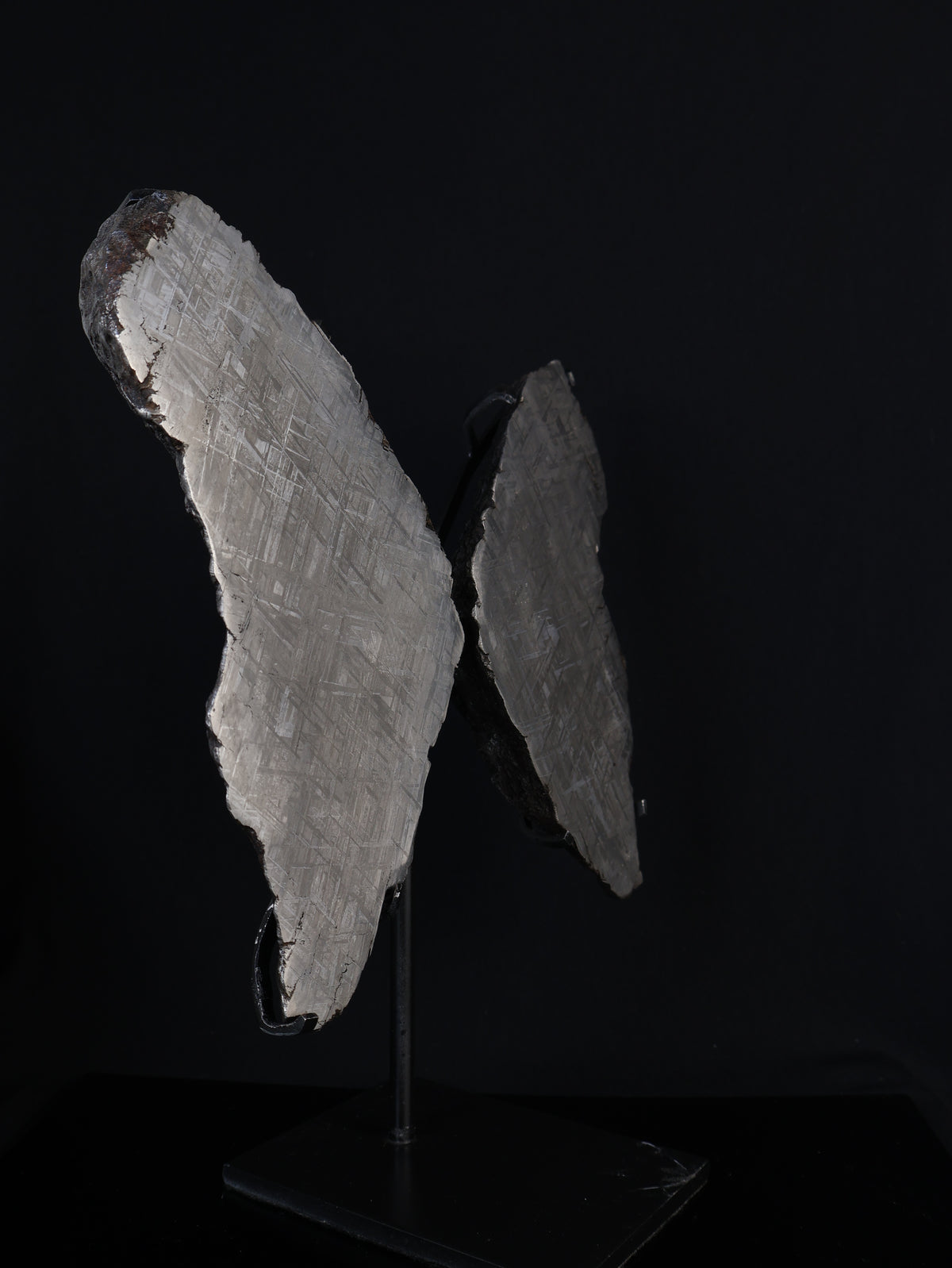 "COSMIC BUTTERFLY" MUONIONALUSTA, SWEDEN. FULL METEORITE IN TWO HALVES.